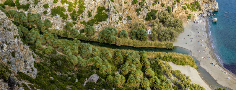 ÎÎ¹Î±ÏÎ¬Î½ÎµÎ¹Î± 35 Î±ÏÏ 35: The forest of palms, Riverside palm-groves at Preveli Beach, River Megalopotamos (Kourtaliotis), Preveli Gorge, Crete, Greece