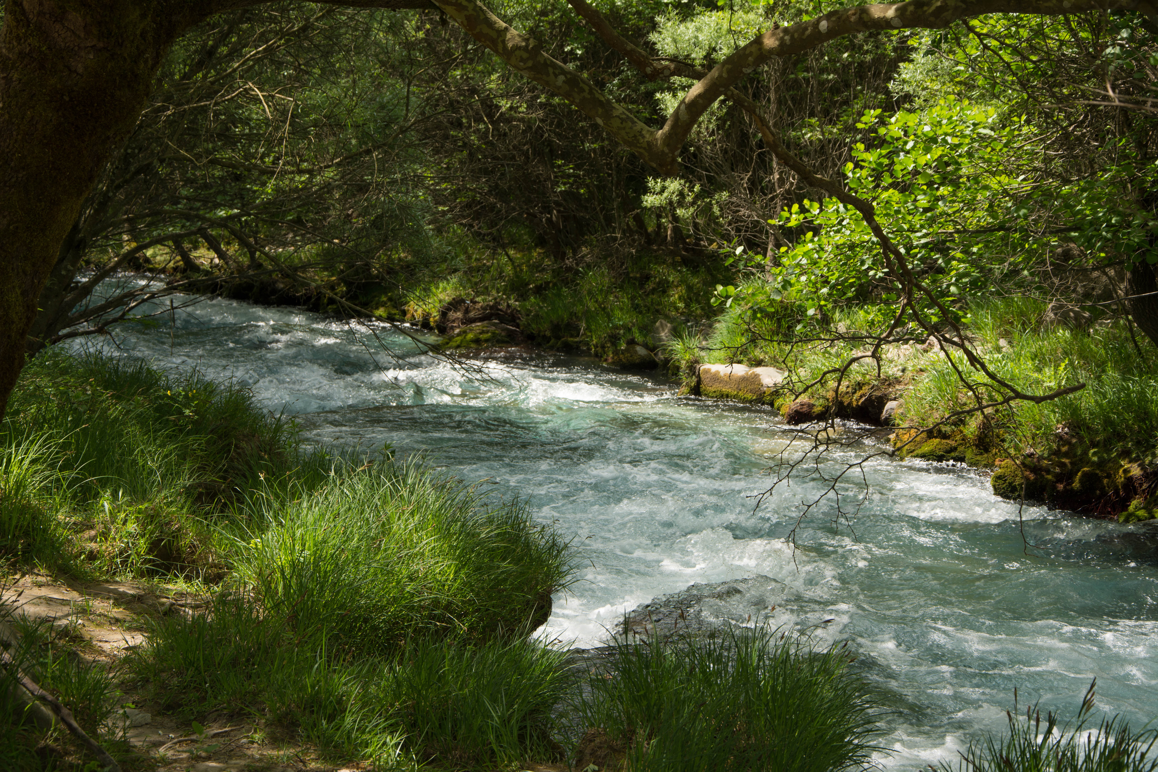 ÎÎ¹Î±ÏÎ¬Î½ÎµÎ¹Î± 7 Î±ÏÏ 35: View of Lousios river in Peloponnese, Greece.