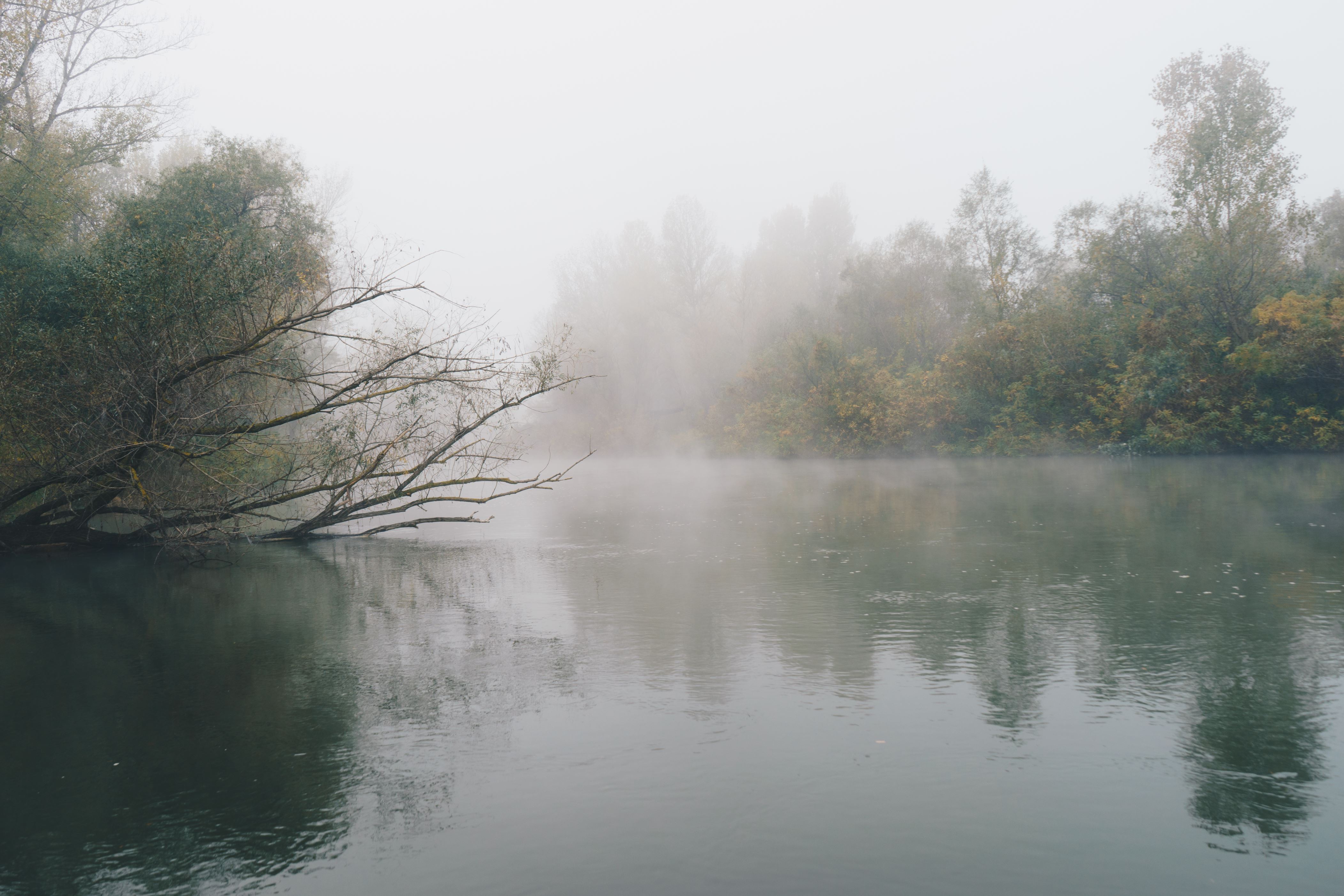 ÎÎ¹Î±ÏÎ¬Î½ÎµÎ¹Î± 3 Î±ÏÏ 35: Foggy morning on river Ardas in Greece.