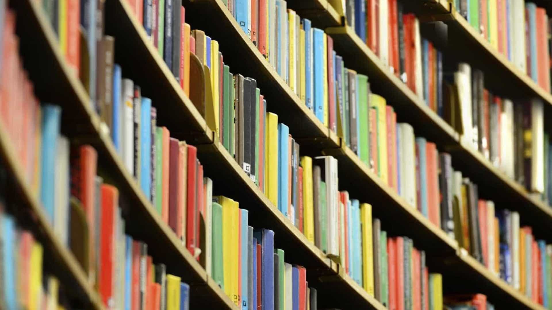 estagiário de biblioteca acusado de assediar menores em escola de sines