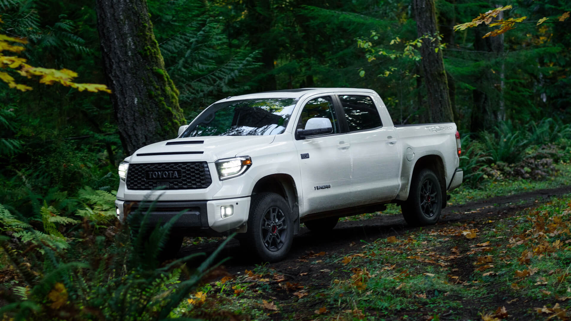 Toyota Tundra TRD Pro