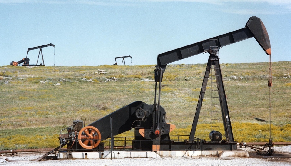 odkryto jedno z największych złóż ropy na świecie