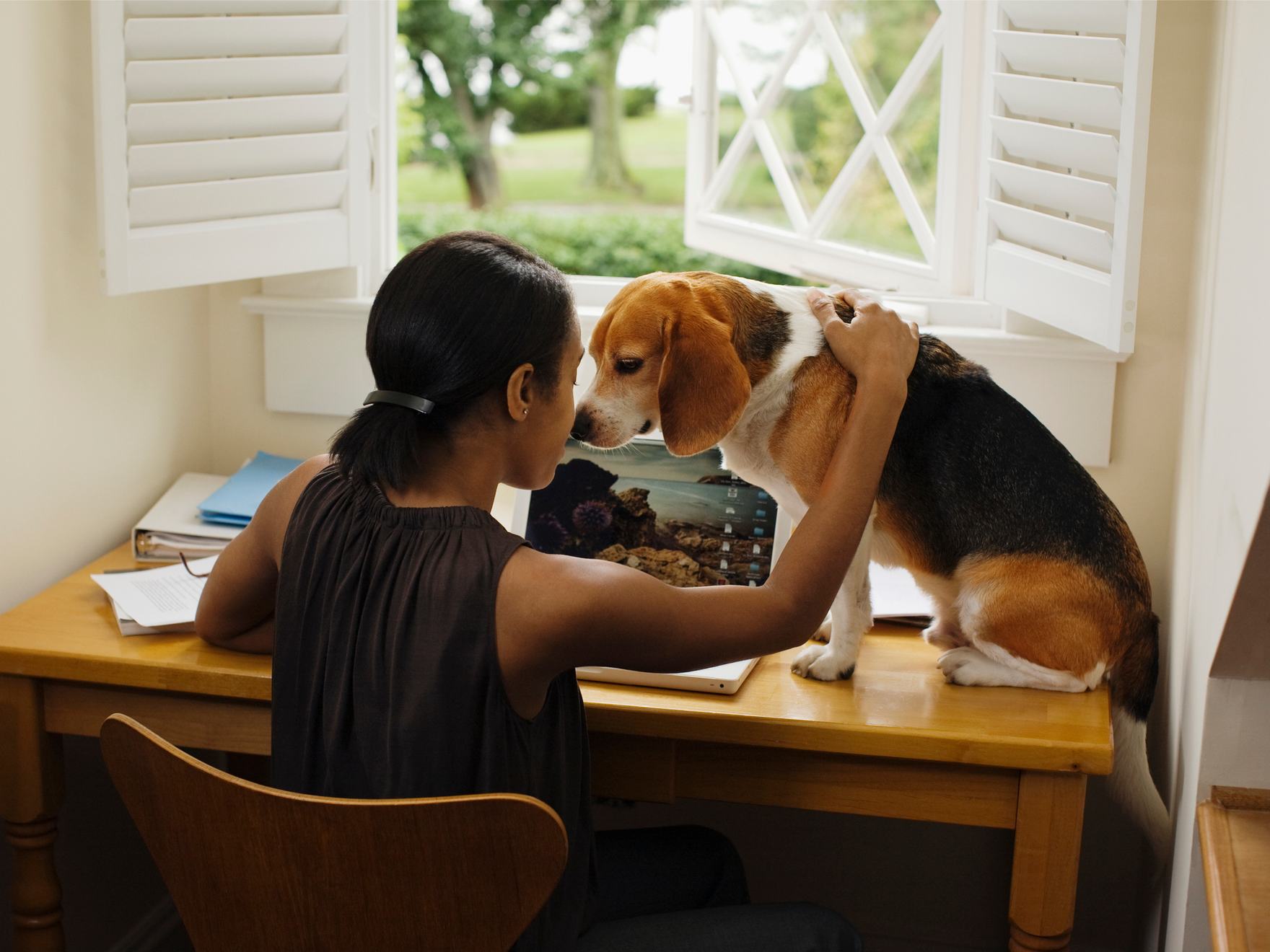 双语在过去的7年里这4个习惯帮助我缓解创业工作焦虑症