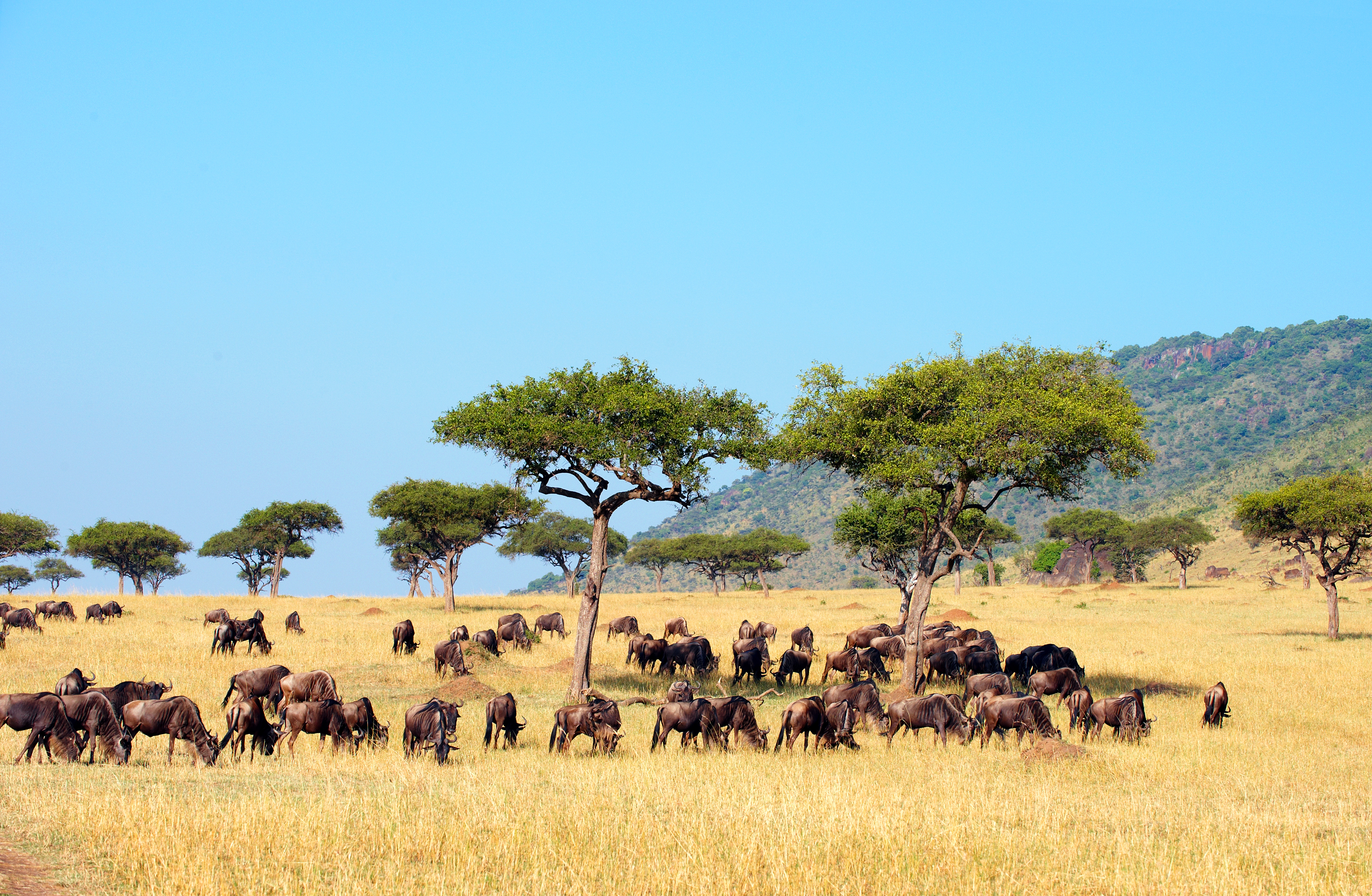 Awe-inspiring landscapes around the world