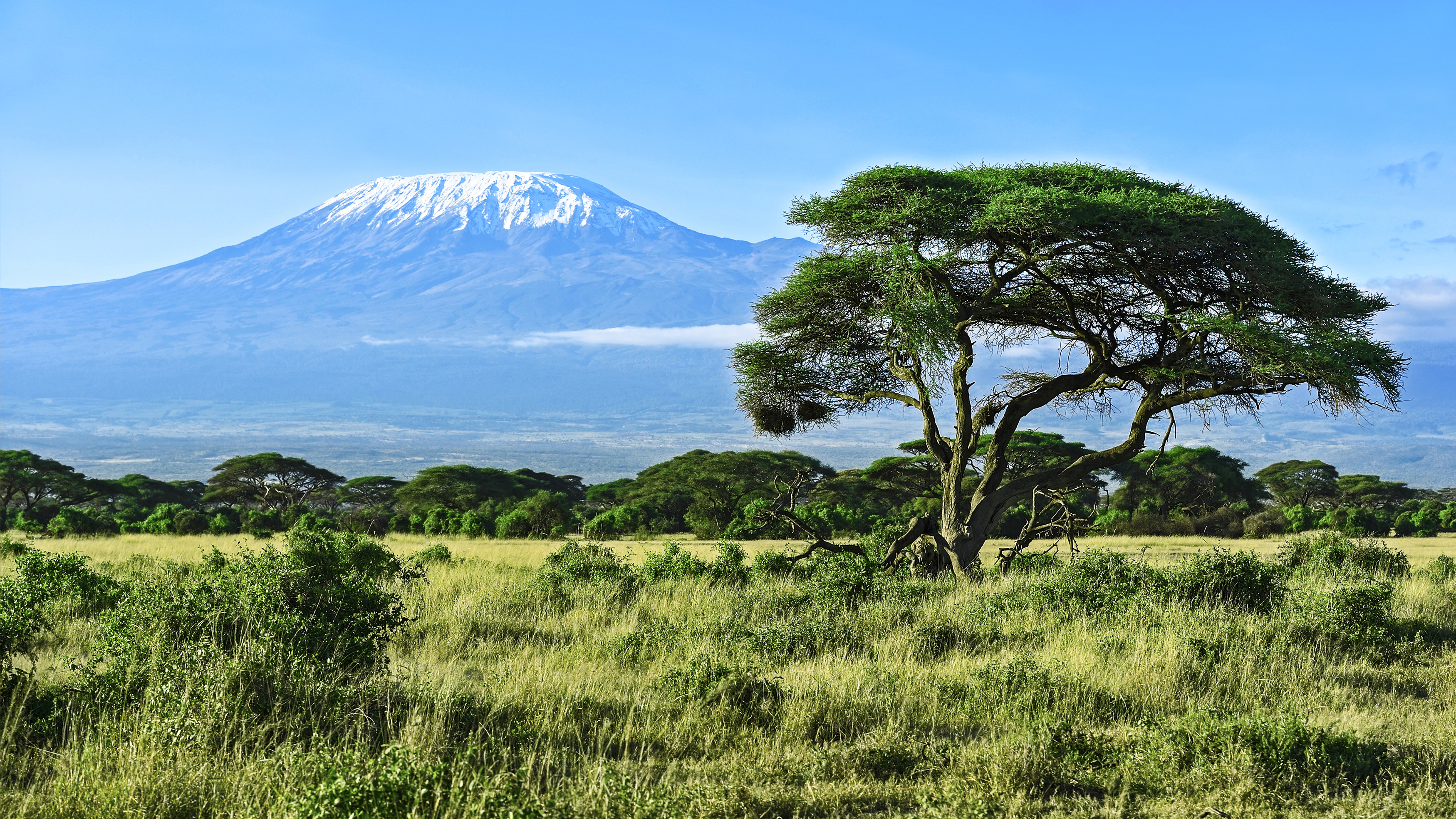 ����� 21 �� 34: Mount Kilimanjaro in Kenya Amboseli National Park