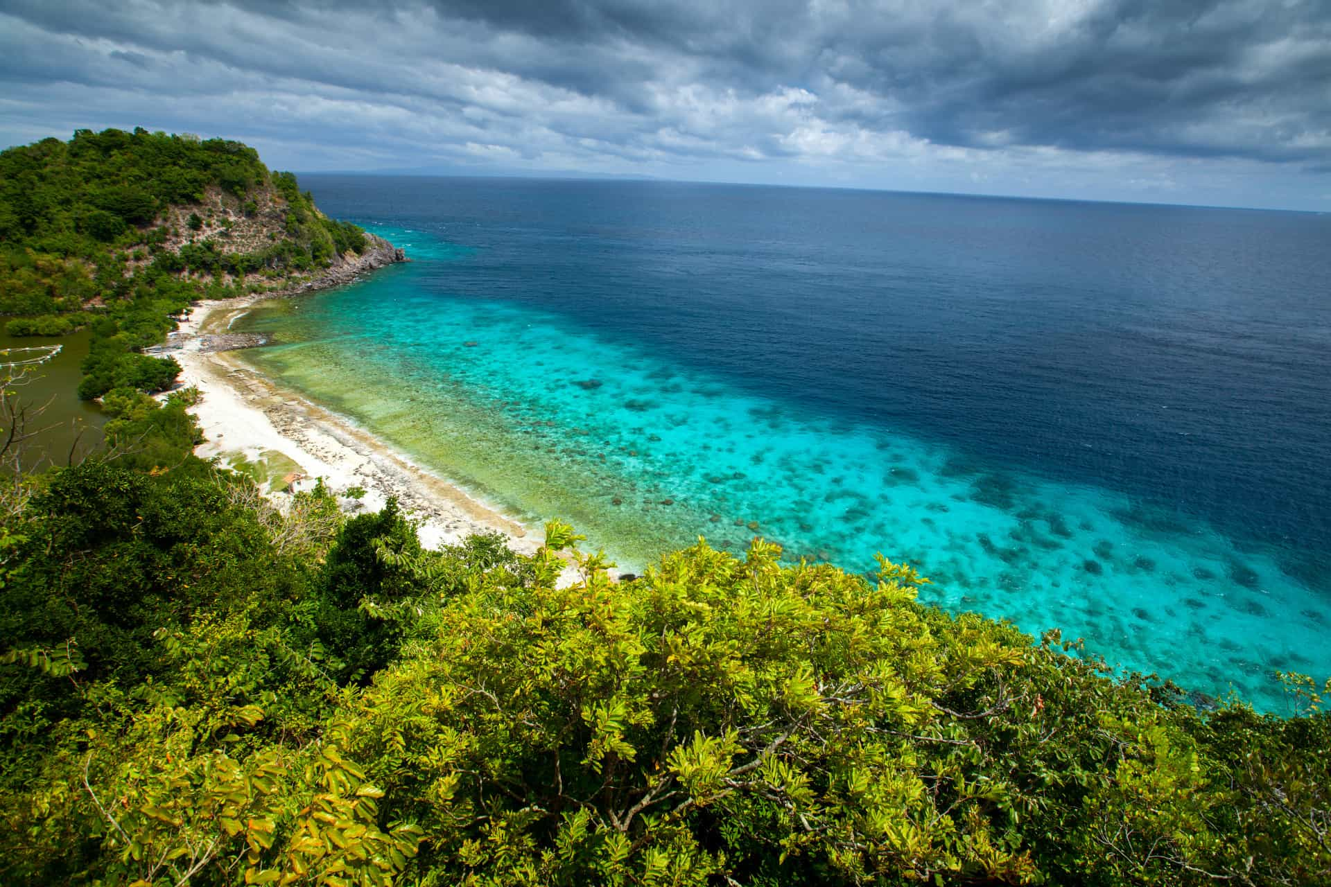 The World's Most Colorful Coral Reefs