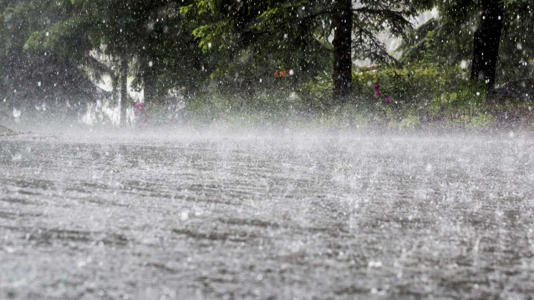 Os distritos do Porto, Vila Real, Viana do Castelo e Braga vão estar sob aviso amarelo na terça-feira devido à previsão de chuva por vezes forte e possibilidade de trovoada, segundo o IPMA.