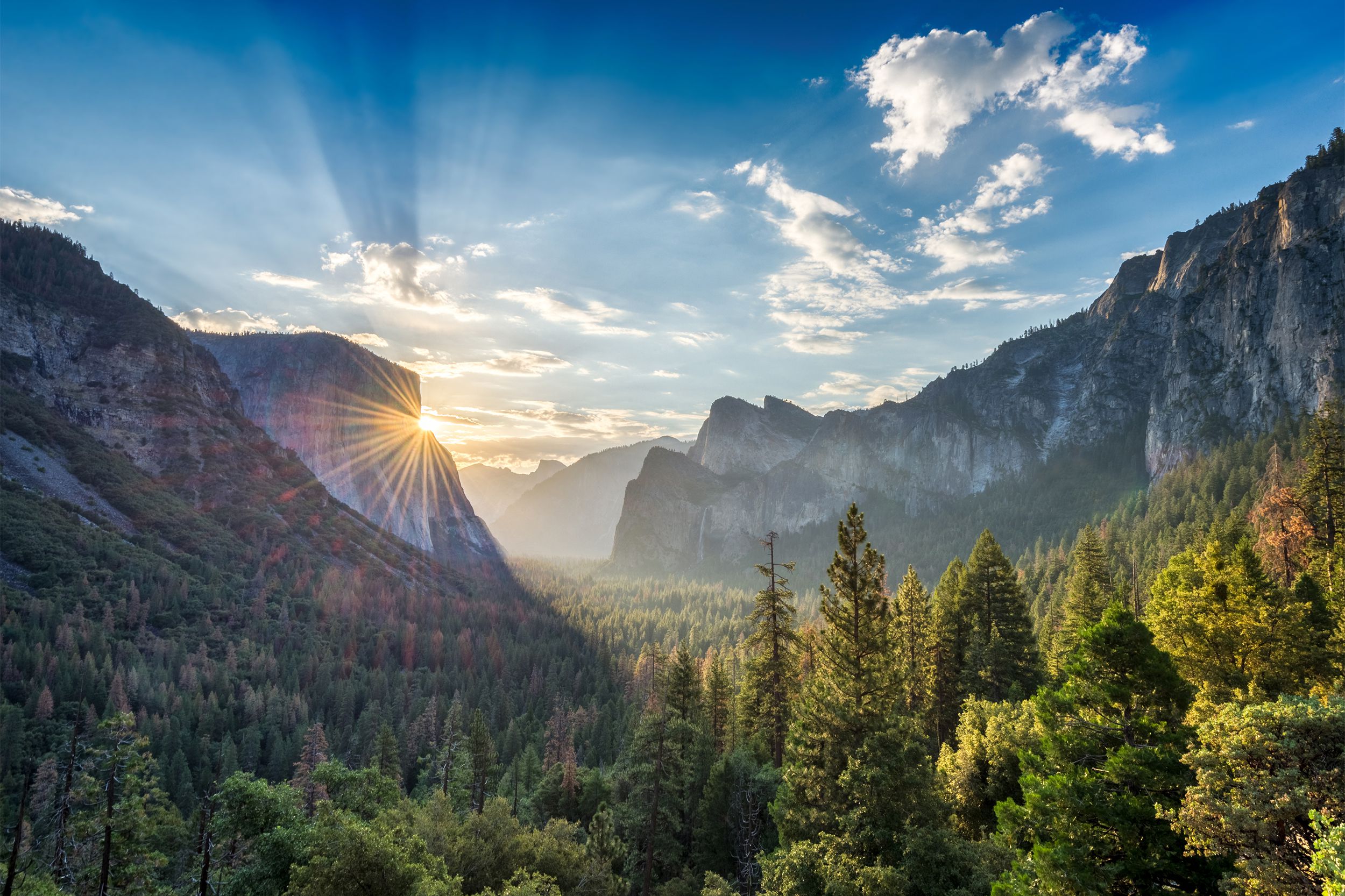 One of the most famous tourist destinations in California and the location of some of the most iconic pictures taken by famed photographer Ansel Adams, <a href="https://www.nps.gov/yose/index.htm">Yosemite</a> offers everything from waterfalls to meadows and ancient sequoias within its vast and unforgettable wilderness.