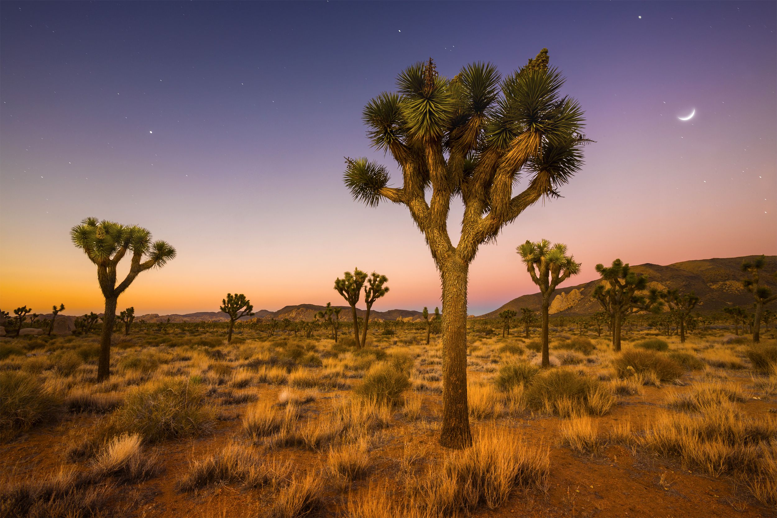 Named after the odd, prickly wonder that is the Joshua Tree, <a href="https://www.nps.gov/jotr/index.htm">this southern California park</a> encompasses both the Colorado and Mojave deserts. Within its striking and vast expanses (the park is some 800,000 acres), there's a variety of plants and animals as well as sand dunes, dry lakes, and rugged mountains.