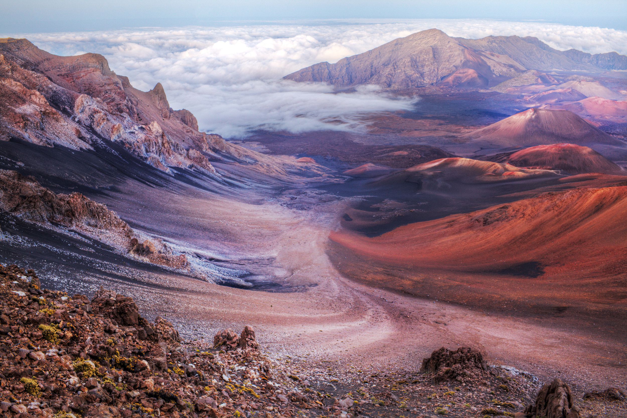 This 34,000-acre landscape includes everything from subtropical, coastal rain forest to volcanoes, and there are animal species in <a href="https://www.nps.gov/hale/index.htm">Haleakalā National Park</a> that are not found anywhere else on the planet including the Hawaiian hoary bat and the Haleakalā flightless moth.