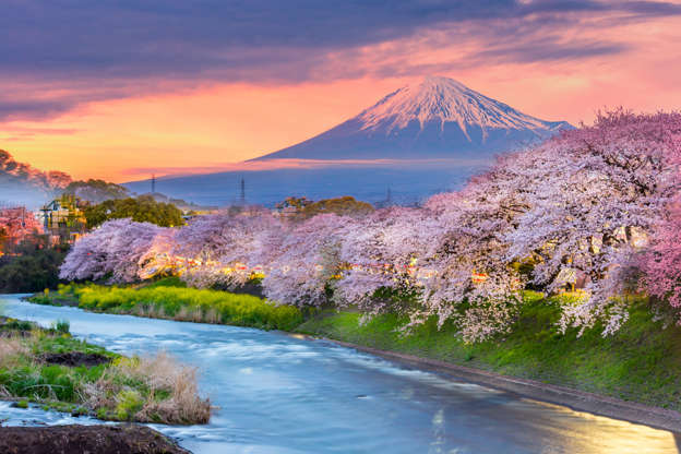Slide 18 de 65: Mountain fuji in cherry blossom season during sunset.