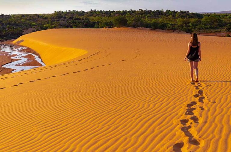 Viaje pelos cenários incríveis dos 33 parques mais bonitos do Brasil