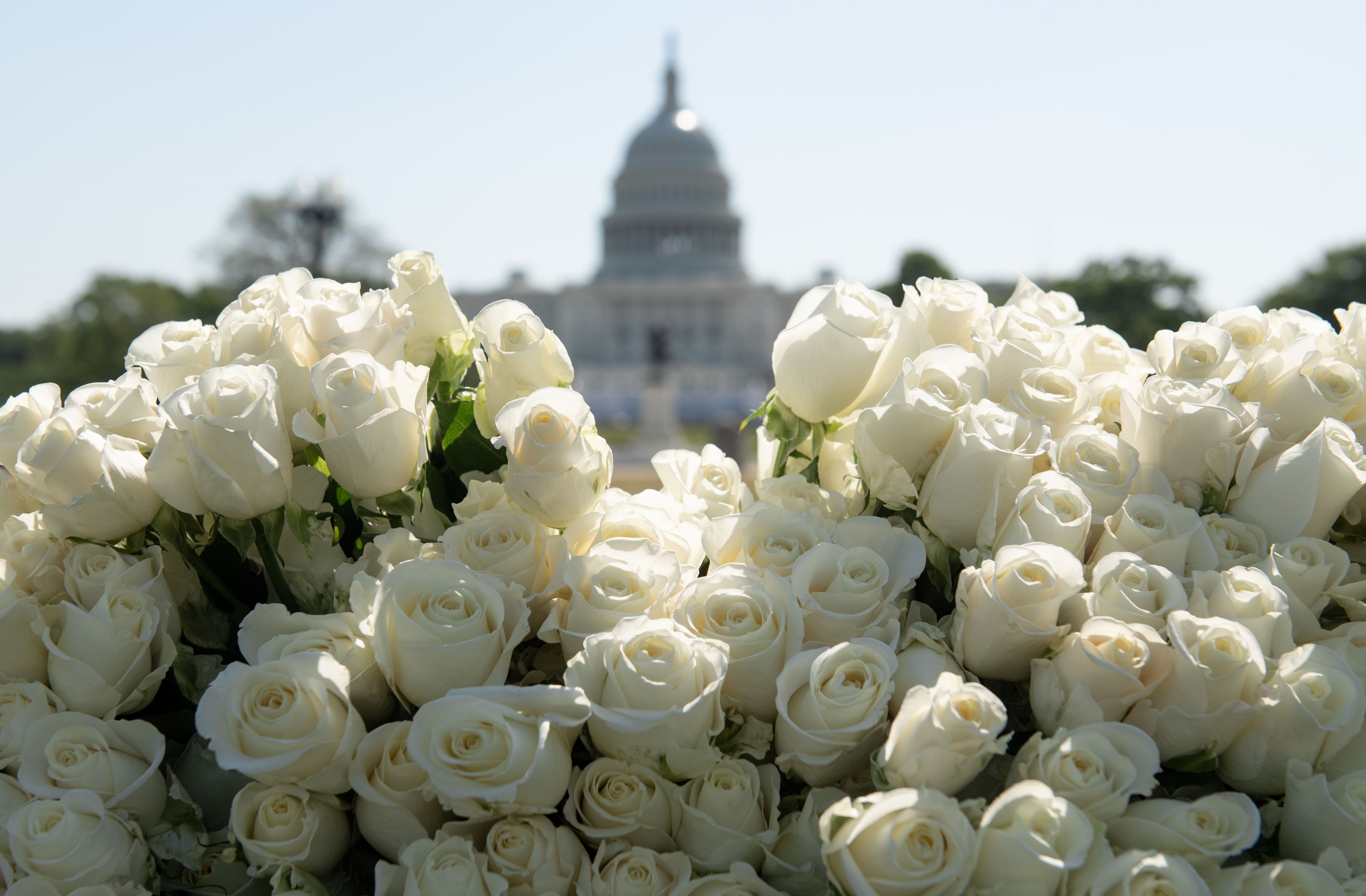 Diapositiva 30 de 80: coronavirus