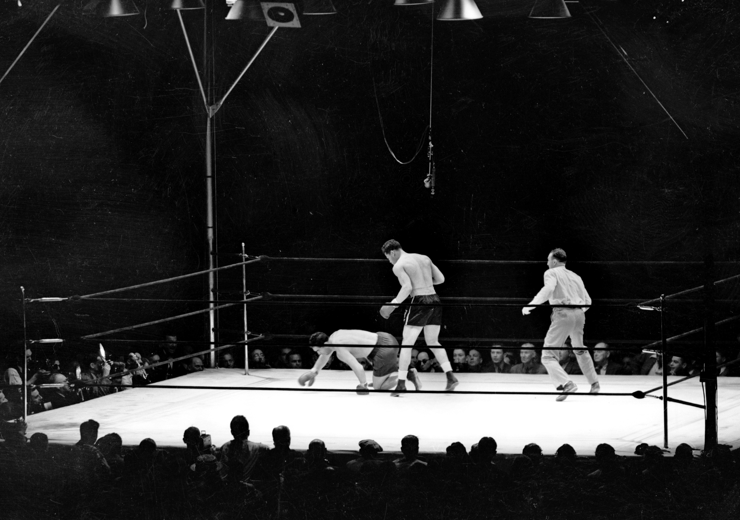 Plus Grand Boxeur De Tous Les Temps
