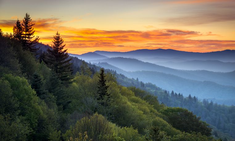 <p>As of May 9, the Smokies are officially starting a phased reopening, which means epic mountain views and historic sites can all be seen from the comfort of your car. Although some areas remain closed, the <a href="https://www.nps.gov/grsm/index.htm">Great Smoky Mountains National Park</a> includes more than 800 miles of sprawling park territory to explore so you should be still able to see quite a bit while avoiding any remaining closed areas.</p><p>For a driving tour that doesn’t disappoint, head into the park and use <a href="https://www.nps.gov/grsm/planyourvisit/conditions.htm">this NPS map</a> to plot your own adventure down the open roads. Keep in mind that visitor centers and restrooms remain closed, so be sure to plan accordingly.</p>
