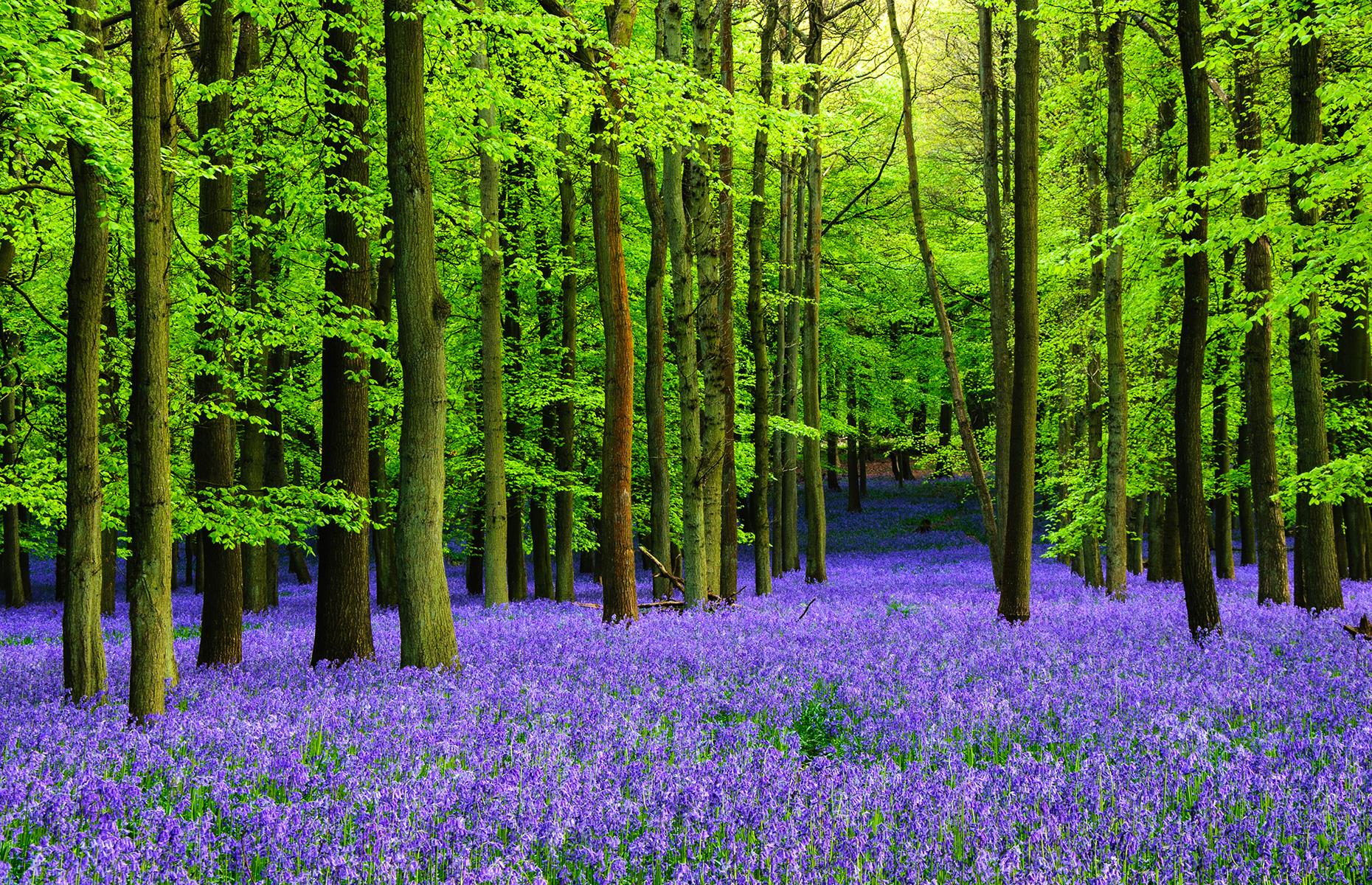 BB14xatG.img?h=582&w=1119&m=6&q=60&u=t&o