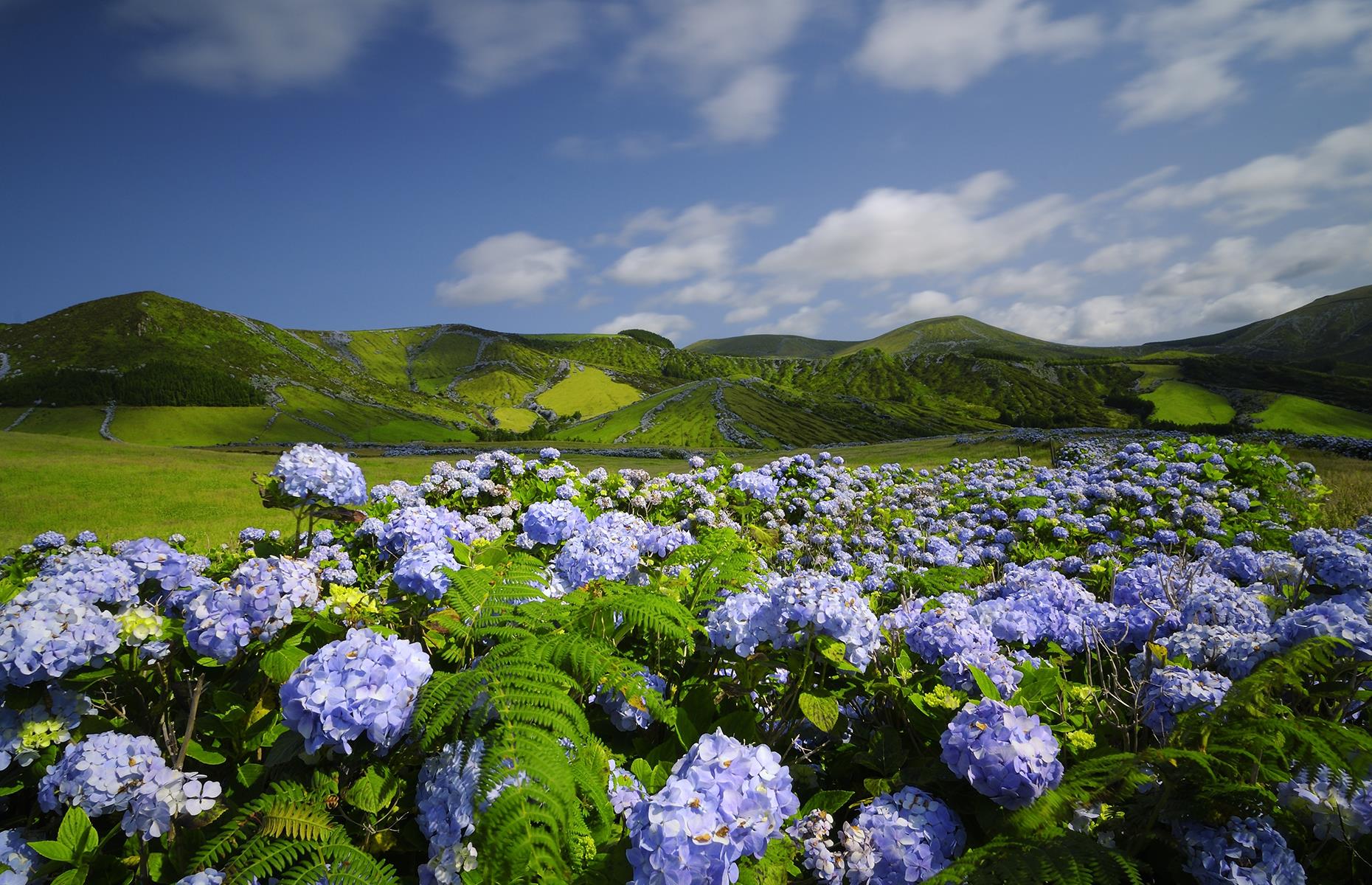 BB14xdVK.img?h=582&w=1119&m=6&q=60&u=t&o