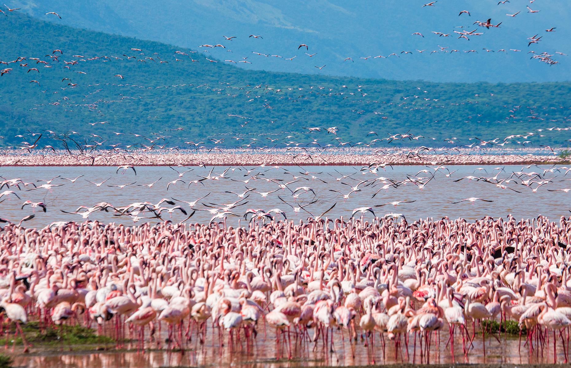 BB14xfFh.img?h=582&w=1119&m=6&q=60&u=t&o