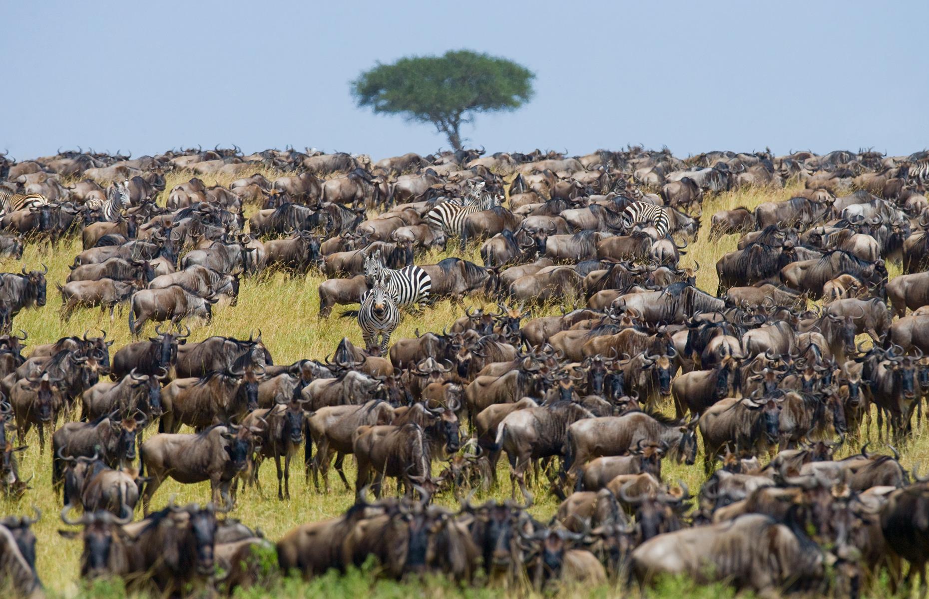 BB14xk1N.img?h=582&w=1119&m=6&q=60&u=t&o