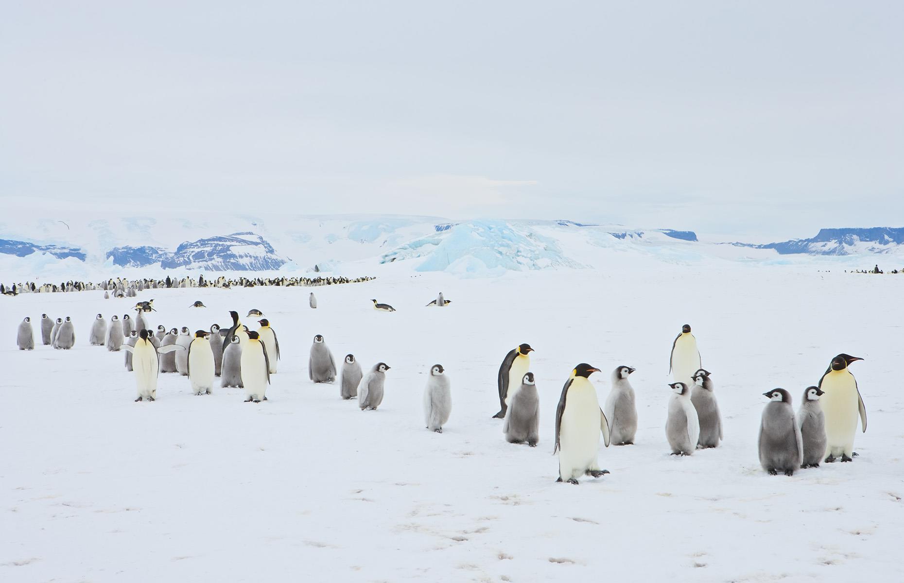 BB14xlq8.img?h=582&w=1119&m=6&q=60&u=t&o