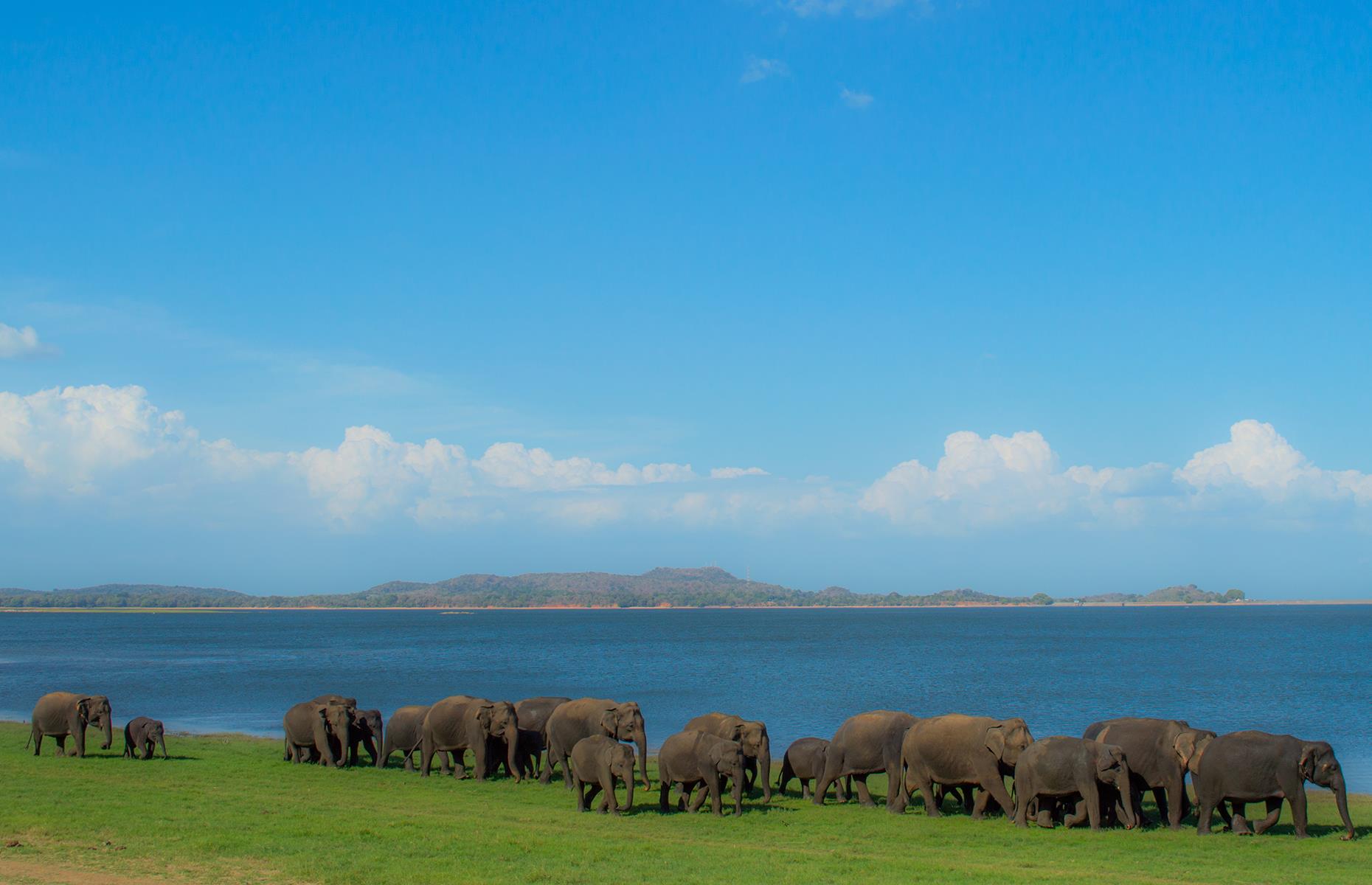 BB14xnbX.img?h=582&w=1119&m=6&q=60&u=t&o