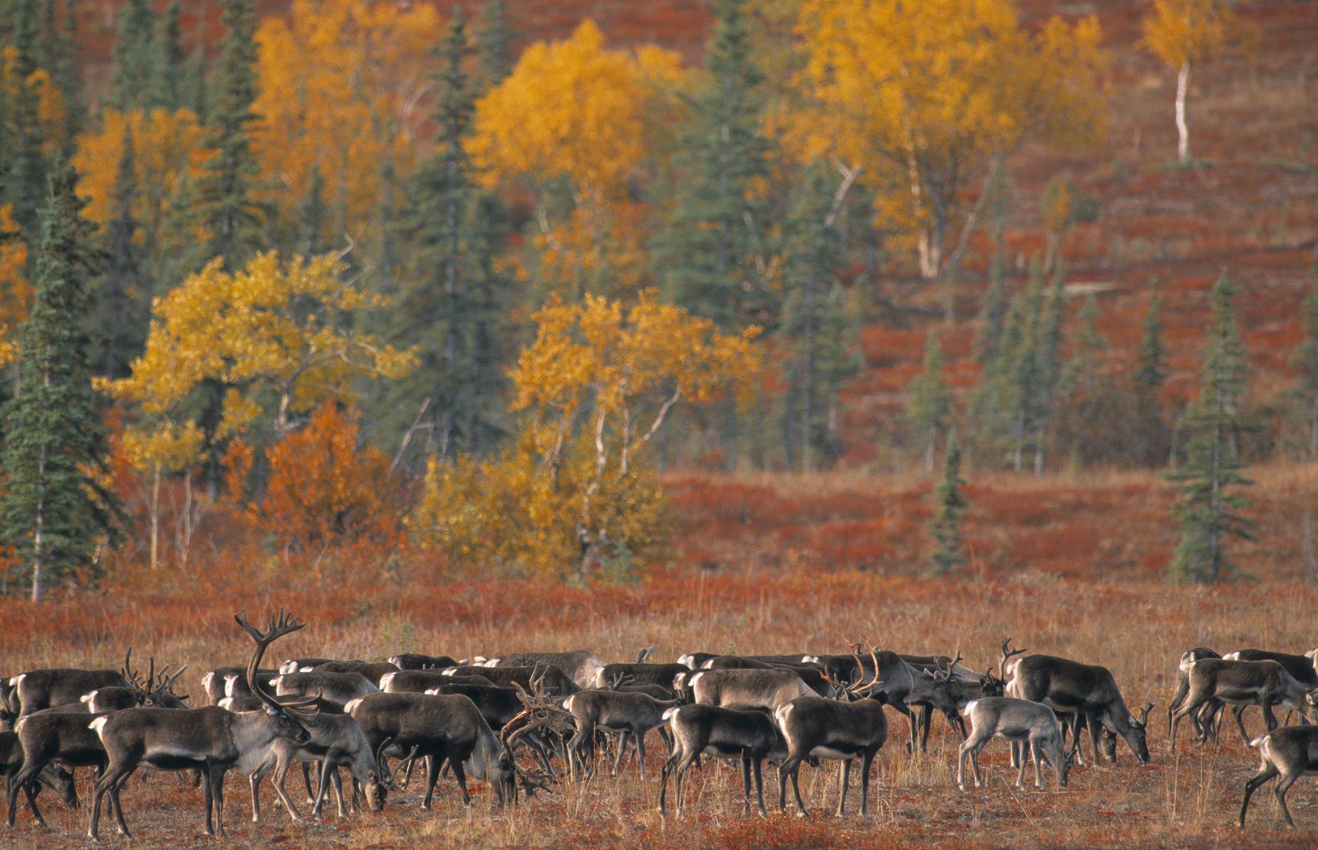 BB14xncE.img?h=582&w=1119&m=6&q=60&u=t&o