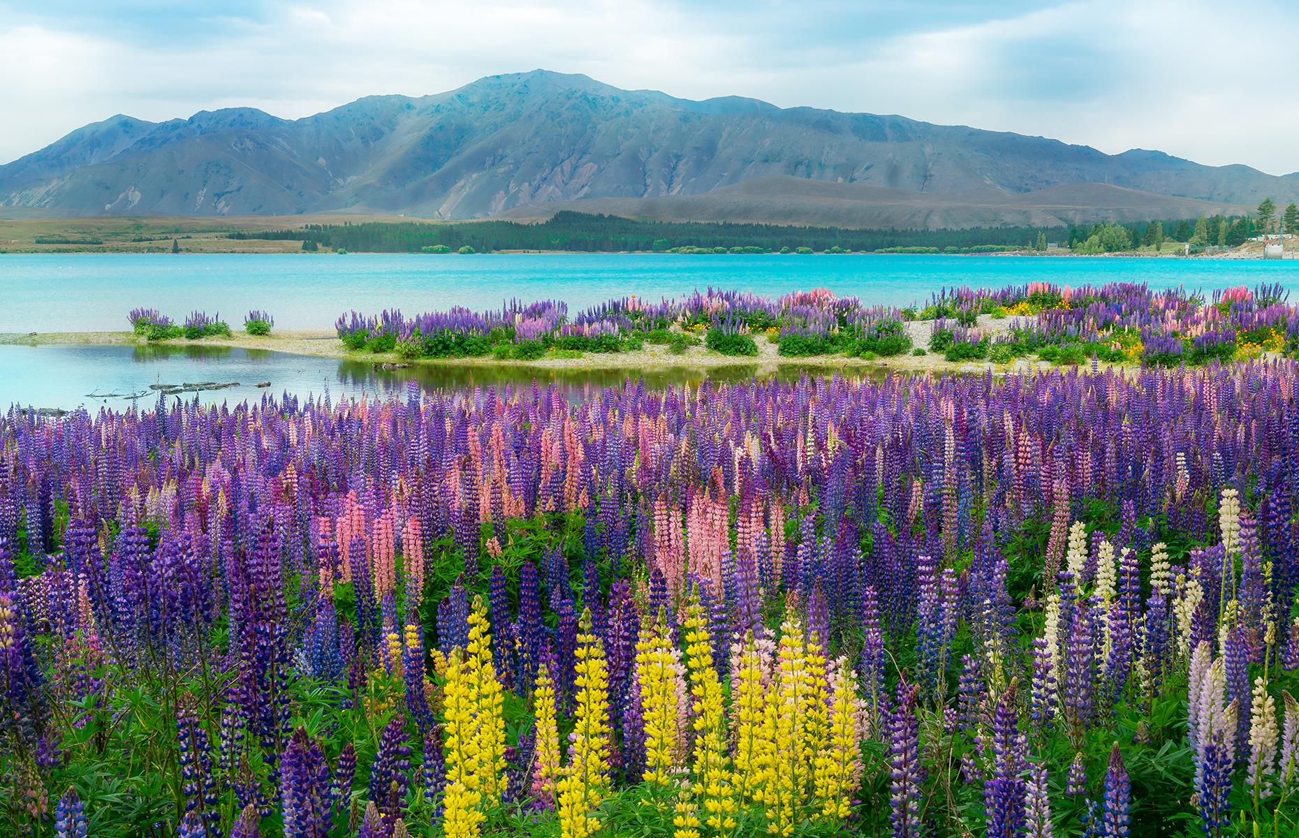 BB14xncv.img?h=582&w=1119&m=6&q=60&u=t&o