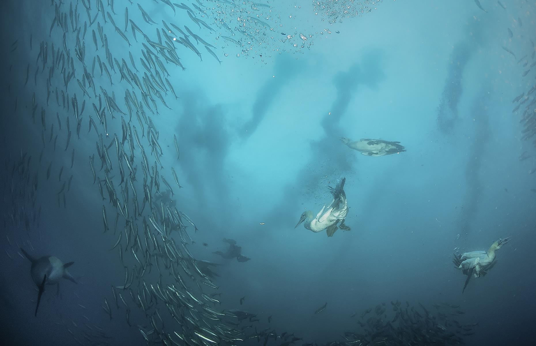 BB14xrPP.img?h=582&w=1119&m=6&q=60&u=t&o