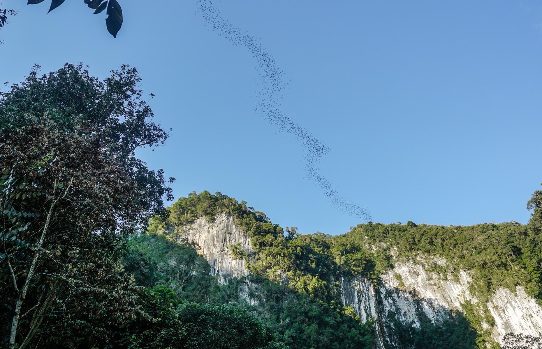 BB14xrQ0.img?h=582&w=1119&m=6&q=60&u=t&o