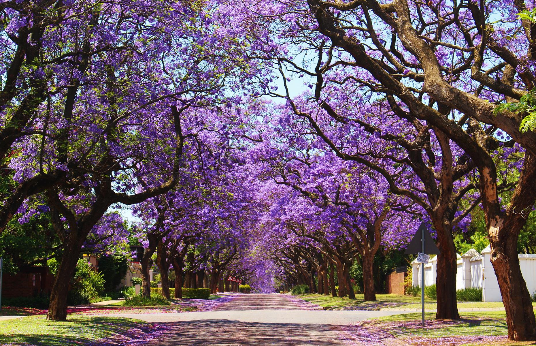 BB14xrQC.img?h=582&w=1119&m=6&q=60&u=t&o