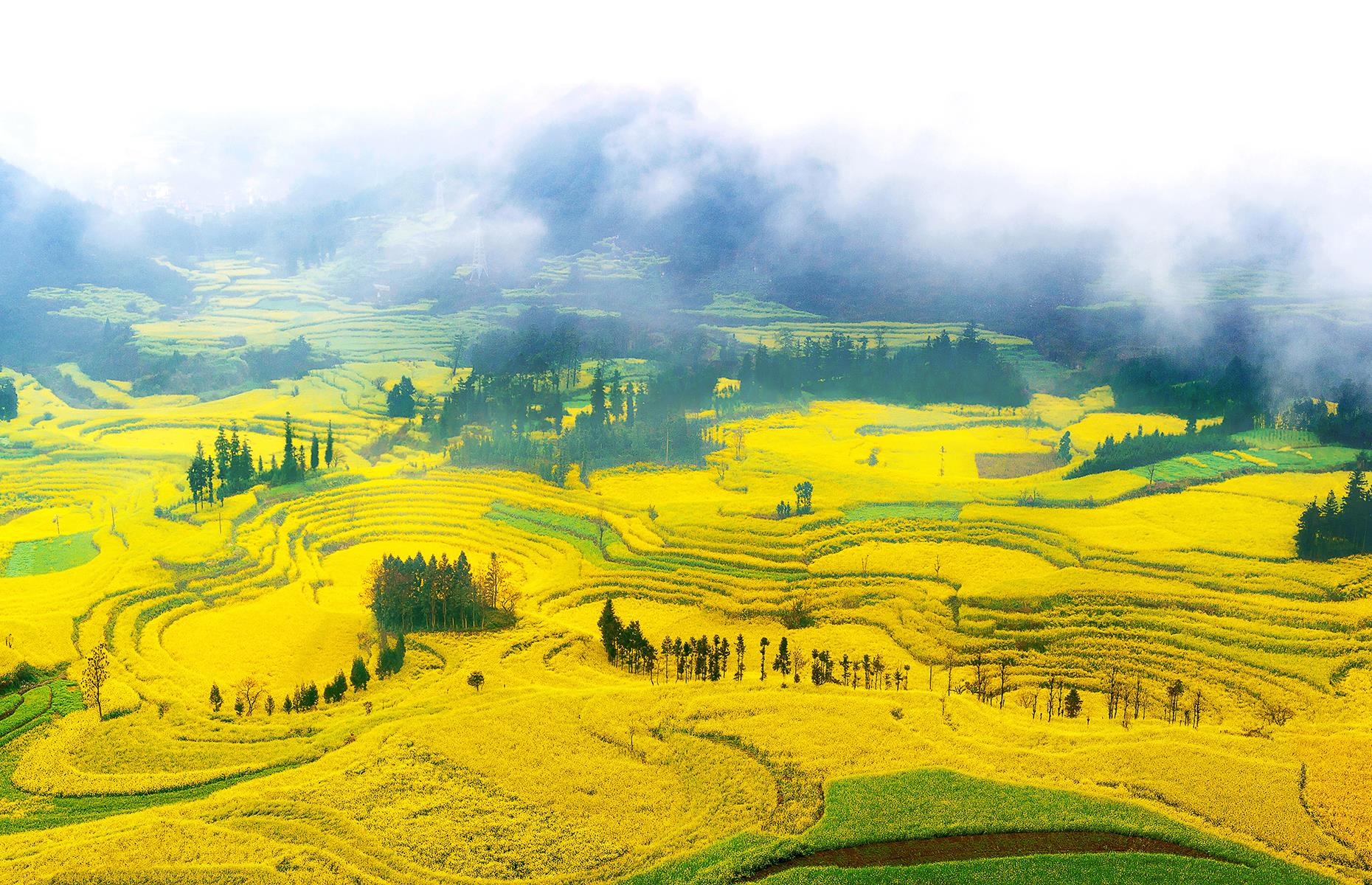 BB14xrQd.img?h=582&w=1119&m=6&q=60&u=t&o