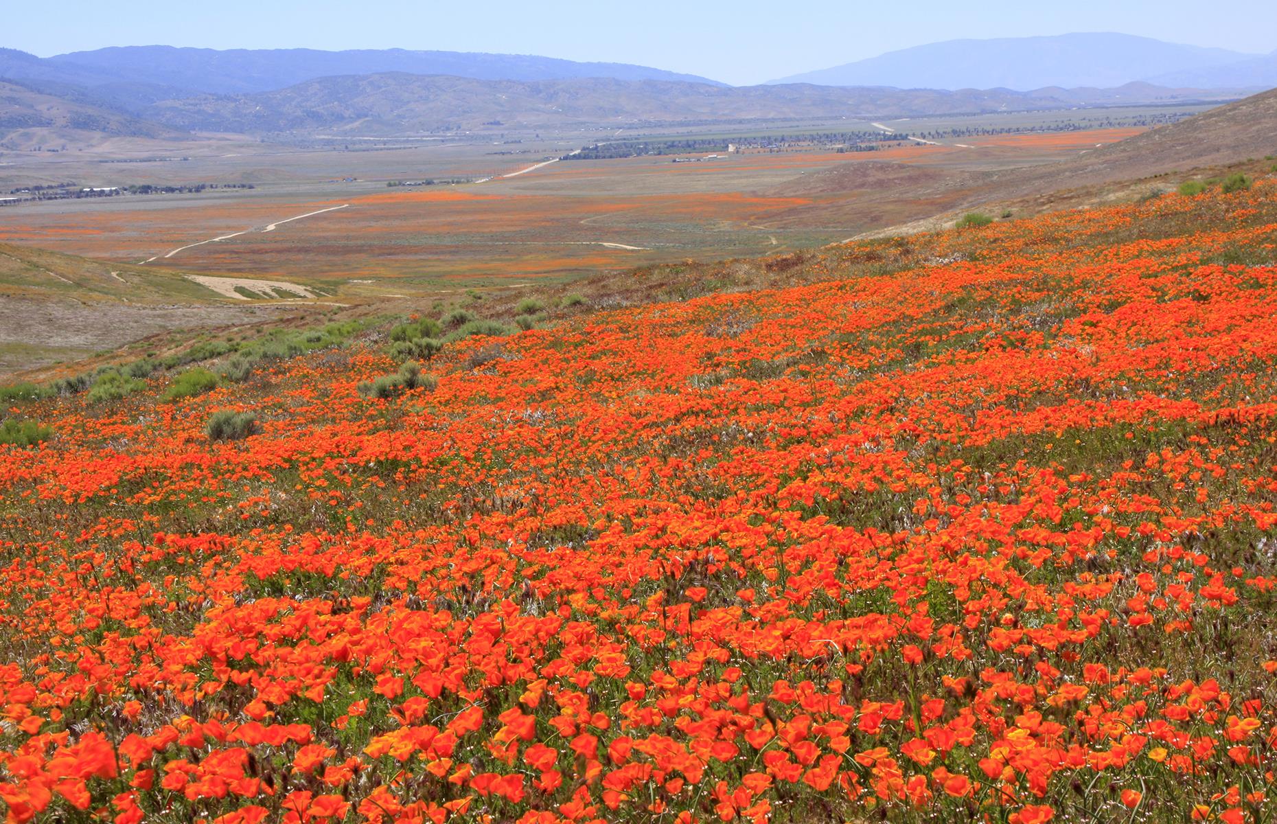 BB14xrQk.img?h=582&w=1119&m=6&q=60&u=t&o