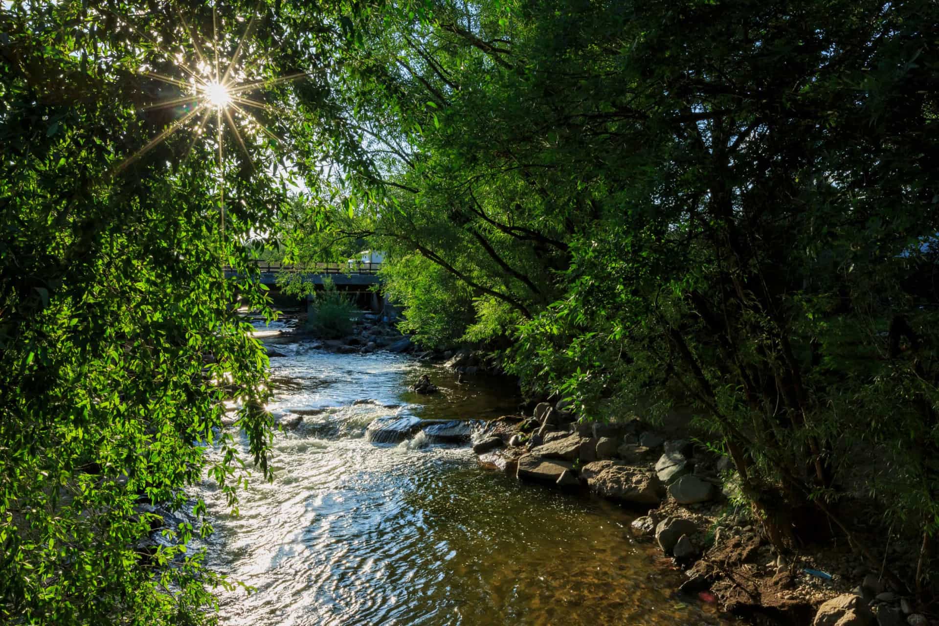 Nature's warning signs before disaster strikes