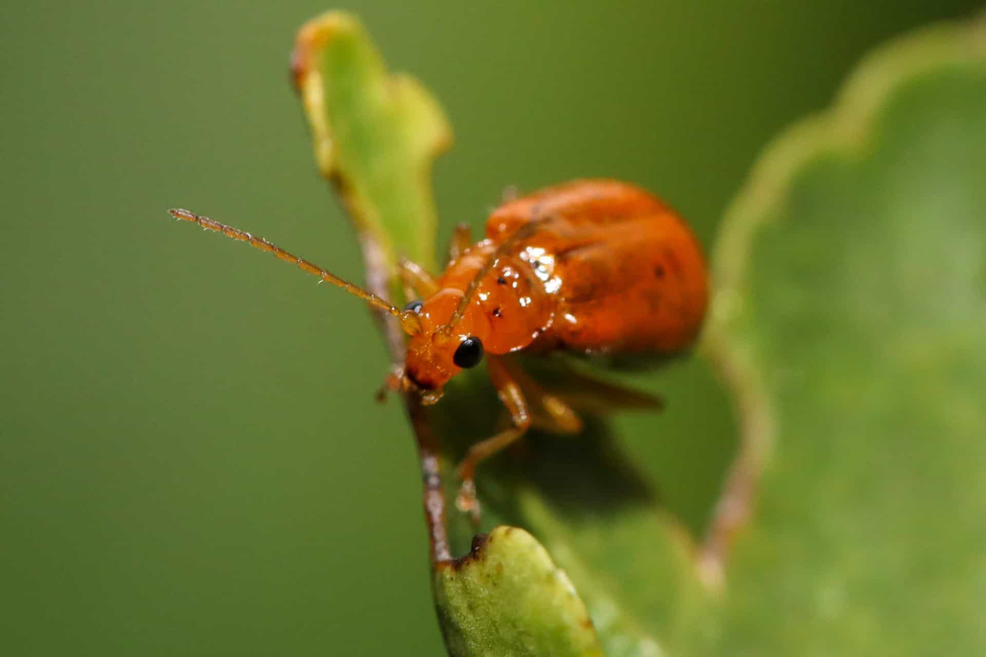Nature's warning signs before disaster strikes