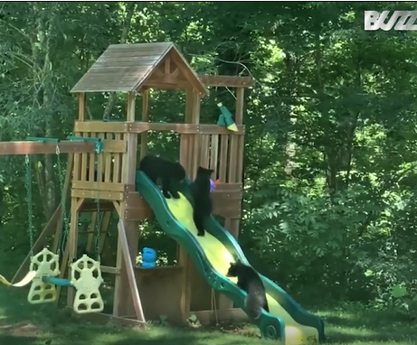 消耗孩子精力的最佳去處是公園 熊媽媽也知道這招