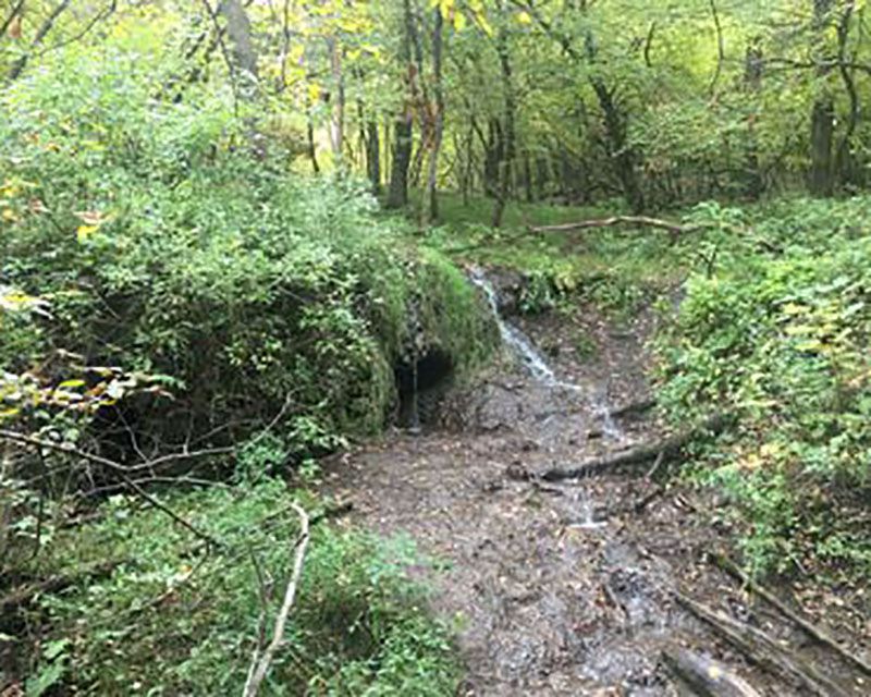 The Most Beautiful Waterfall in Every State