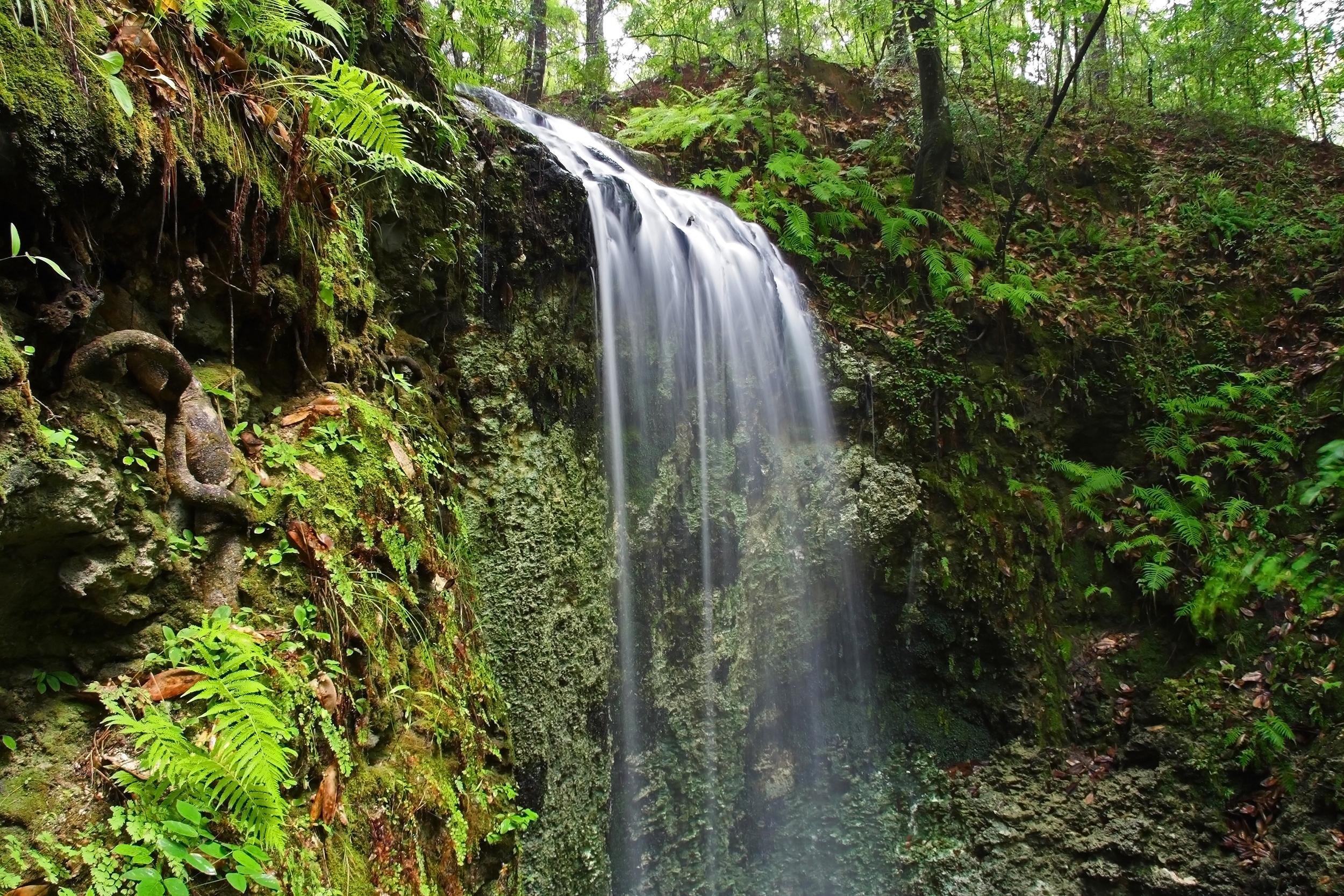 The Most Beautiful Waterfall In Every State