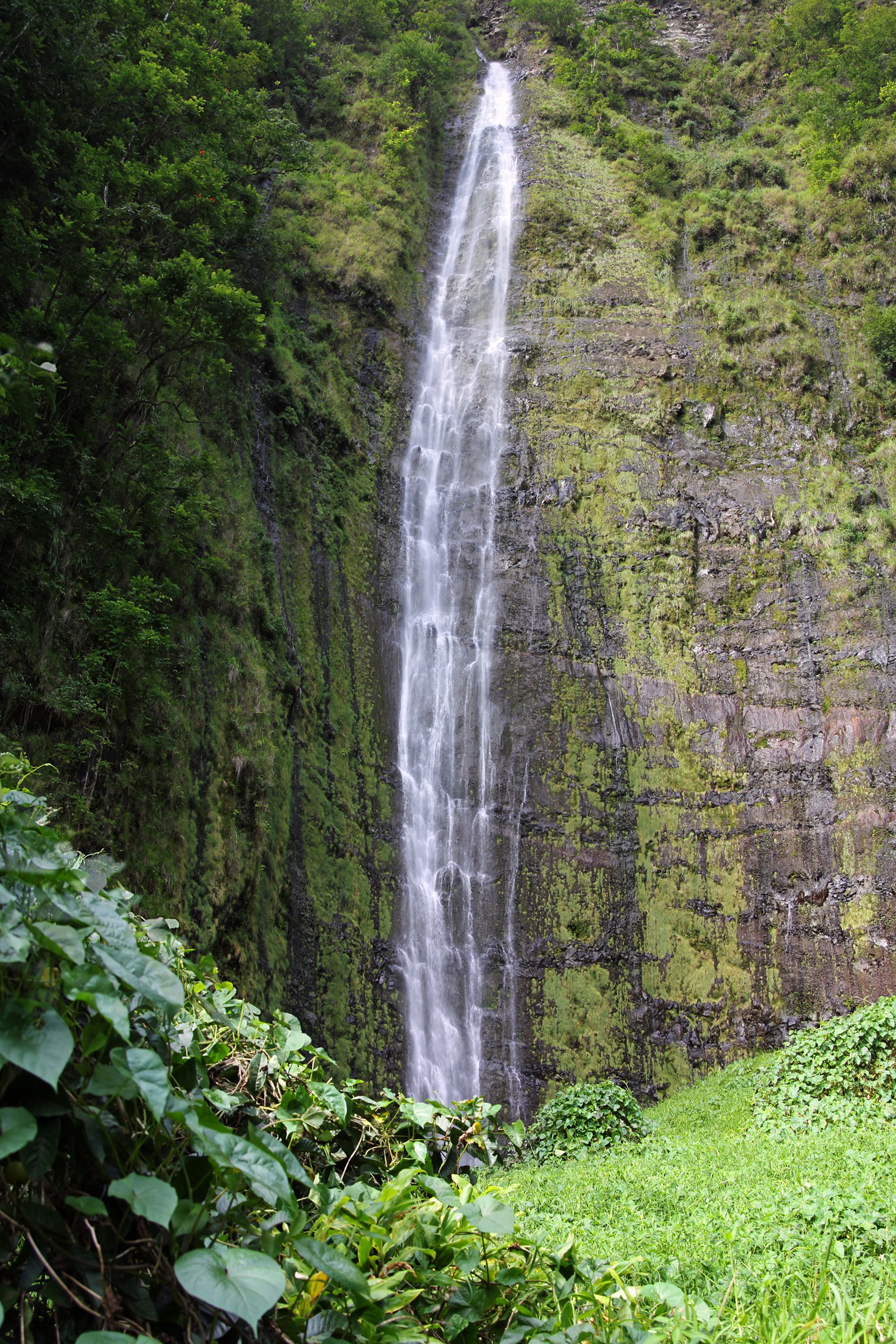 The Most Stunning Waterfall in Every State