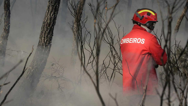 O incêndio que deflagrou em Ourém na segunda-feira já está em fase de resolução, disse hoje à agência Lusa fonte do Comando Distrital de Operações de Socorro (CDOS) de Santarém.