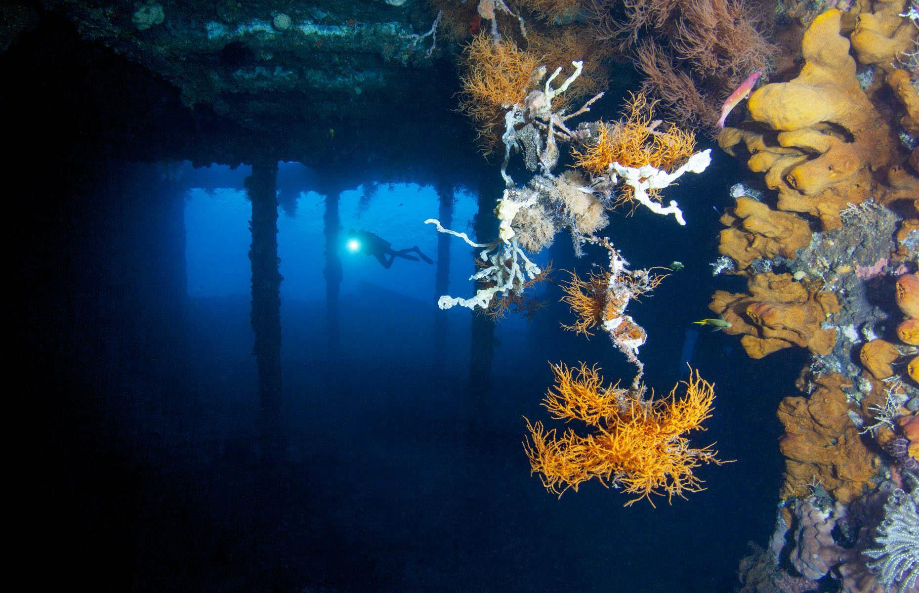 These are the world’s most jaw-dropping underwater attractions - Best ...