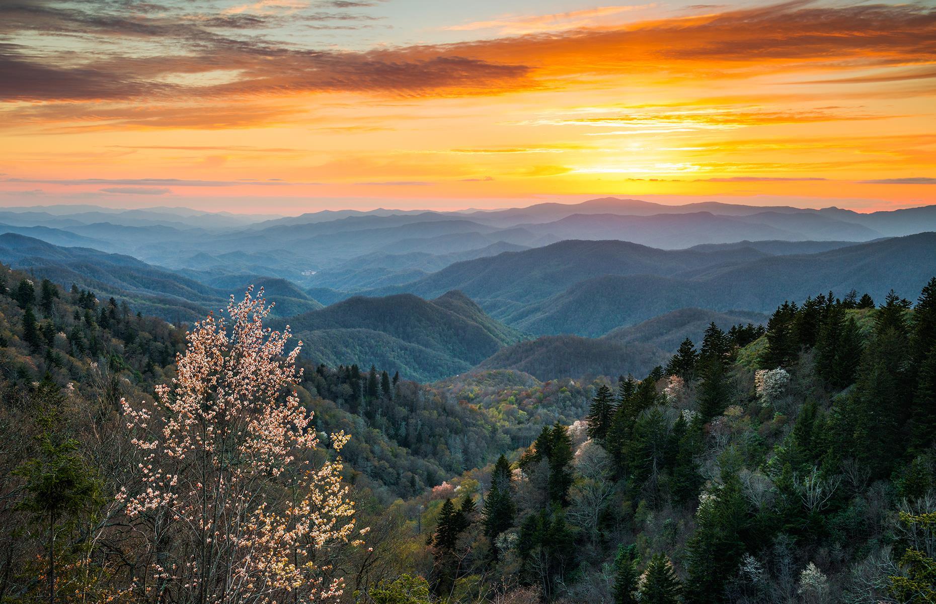 <p><a href="https://www.smokybearcampground.com/">Smoky Bear Campground</a> is a family-owned spot located next to the northeastern entrance of Great Smoky Mountain National Park. Typically the spruce fir-covered bluffs, the waterfalls and the epic sunsets of this national park are what draw visitors to Smoky Bear, but be sure to check <a href="https://www.nps.gov/grsm/planyourvisit/conditions.htm">the NPS site</a> before planning a trip. On site, all the shady lots are full hook-up (with 30- or 50-amp electricity) and there are fire rings so you can get cozy as the evening falls.</p>