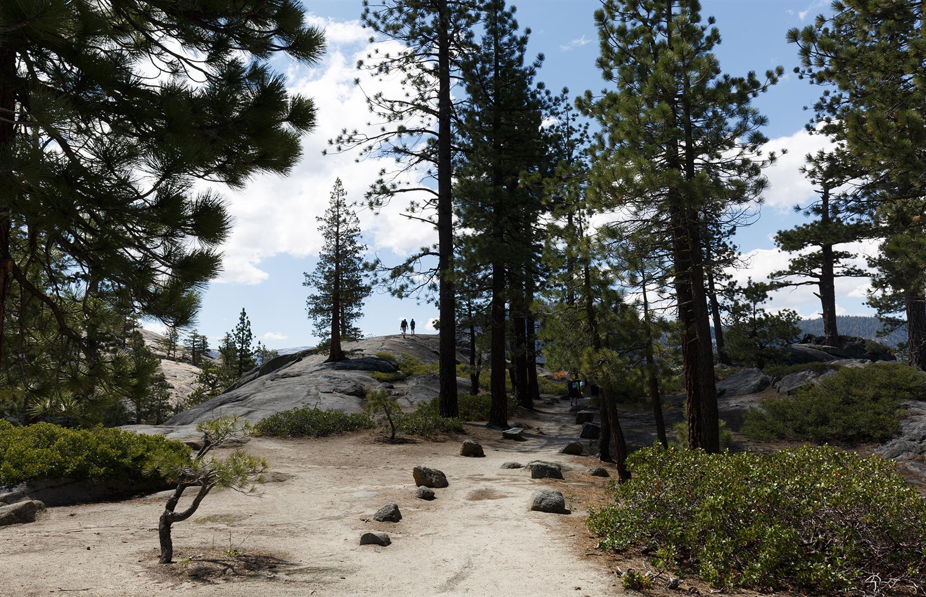 <p>The Golden State has little shortage of RV parks, and this one is nestled amid the pines and peaks of Yosemite. It's back to basics at <a href="https://www.recreation.gov/camping/campgrounds/232447">Upper Pines</a> – there are non-electric RV lots, toilets, drinking water and food storage facilities only. It's also near to the start of the Mirror Lake Trail, whose two-mile (3.2km) path winds towards (you guessed it) gleaming Mirror Lake. A day-use reservation is currently needed to enter Yosemite National Park, but those staying overnight are exempt – just make sure you have your camping/lodging reservation to hand at the entrance.</p>