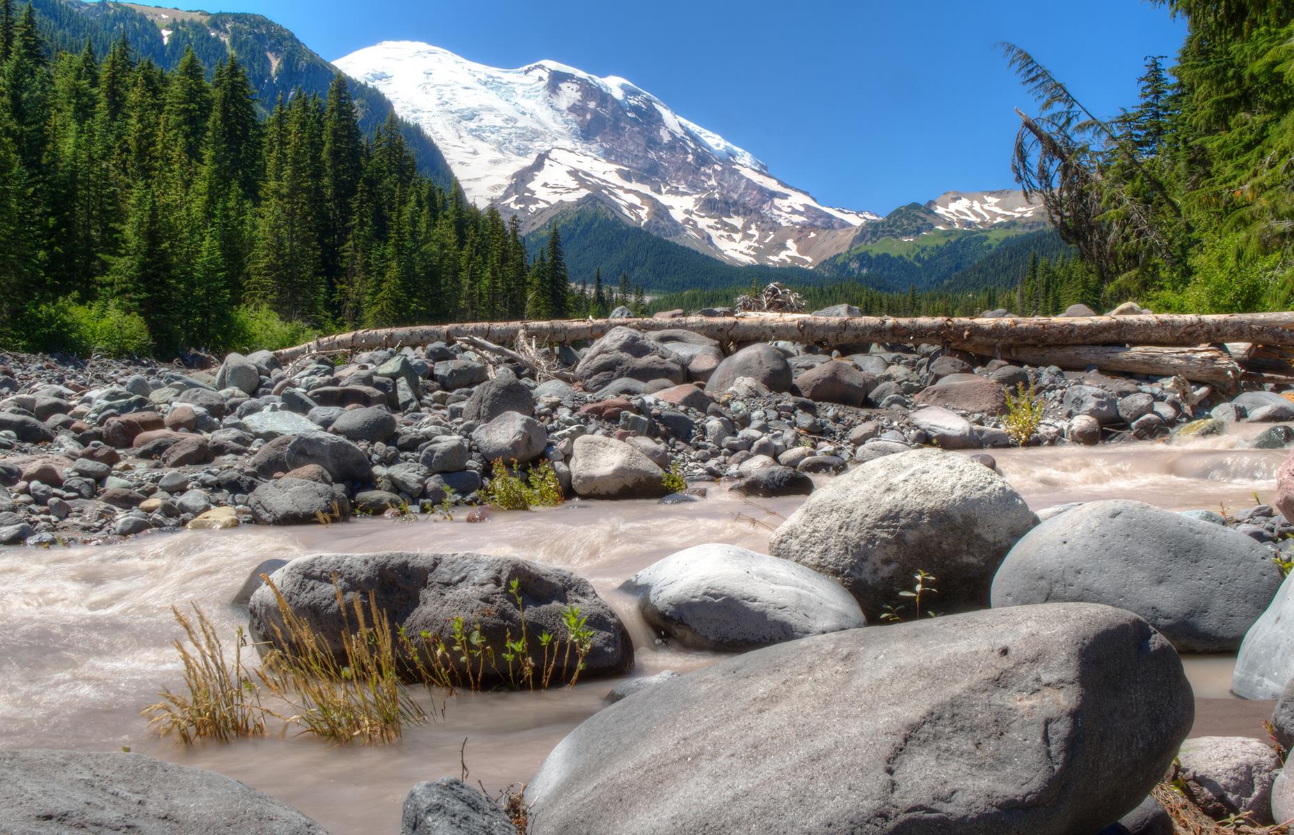 <p>Taking over an idyllic spot in the northeast of Mount Rainier National Park, <a href="https://visitrainier.com/white-river-campground/">White River Campground</a> rests at a dizzying 4,232 feet (1,290m). Facilities at the camp are basic: there are restrooms but no showers, and RV sites are non-electric. But the sheer awe of your surroundings will likely make up for that. The park is close to trails such as the Glacier Basin route, which spools from the campsite towards the breathtaking Inter Glacier (<a href="https://www.nps.gov/mora/index.htm">the NPS website</a> has details on closures and protocols here).</p>