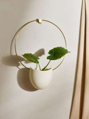 Slide 3 of 22: Make a statement with this oversized wall-mounted planter that hangs from a sleek brass ring. It’s got an understated elegance that will look good in any room. $180, Food52. Get it now!