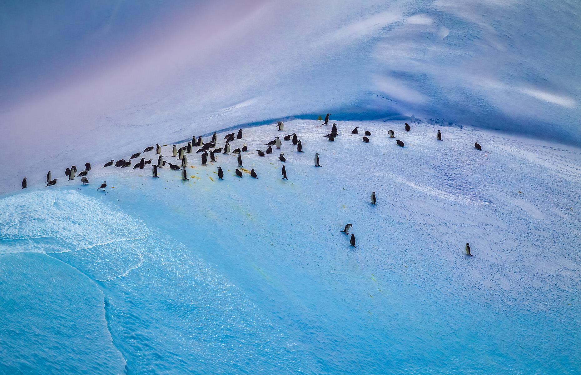 Slide 15 of 44: It's safe to say, most of us will never experience the breeze on these blustery islands, and so all we can do is marvel at photographs like this, depicting the region's stunning blue glaciers and incredible wildlife.