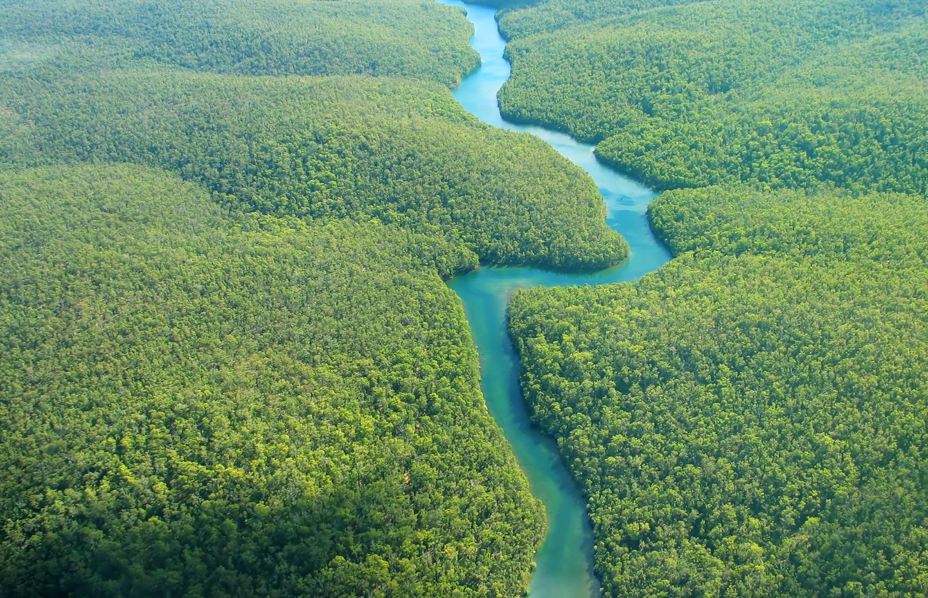 Slide 42 of 44: The world's largest rainforest spans more than 2.3 million square miles (6m sq km) across Brazil, Bolivia, Peru, Ecuador, Colombia, Venezuela, Guyana, Suriname and French Guiana, and is one of the greatest wonders on the planet. The sprawling jungle is thought to contain 10% of the world's known species, and there are still parts unexplored by modern society.