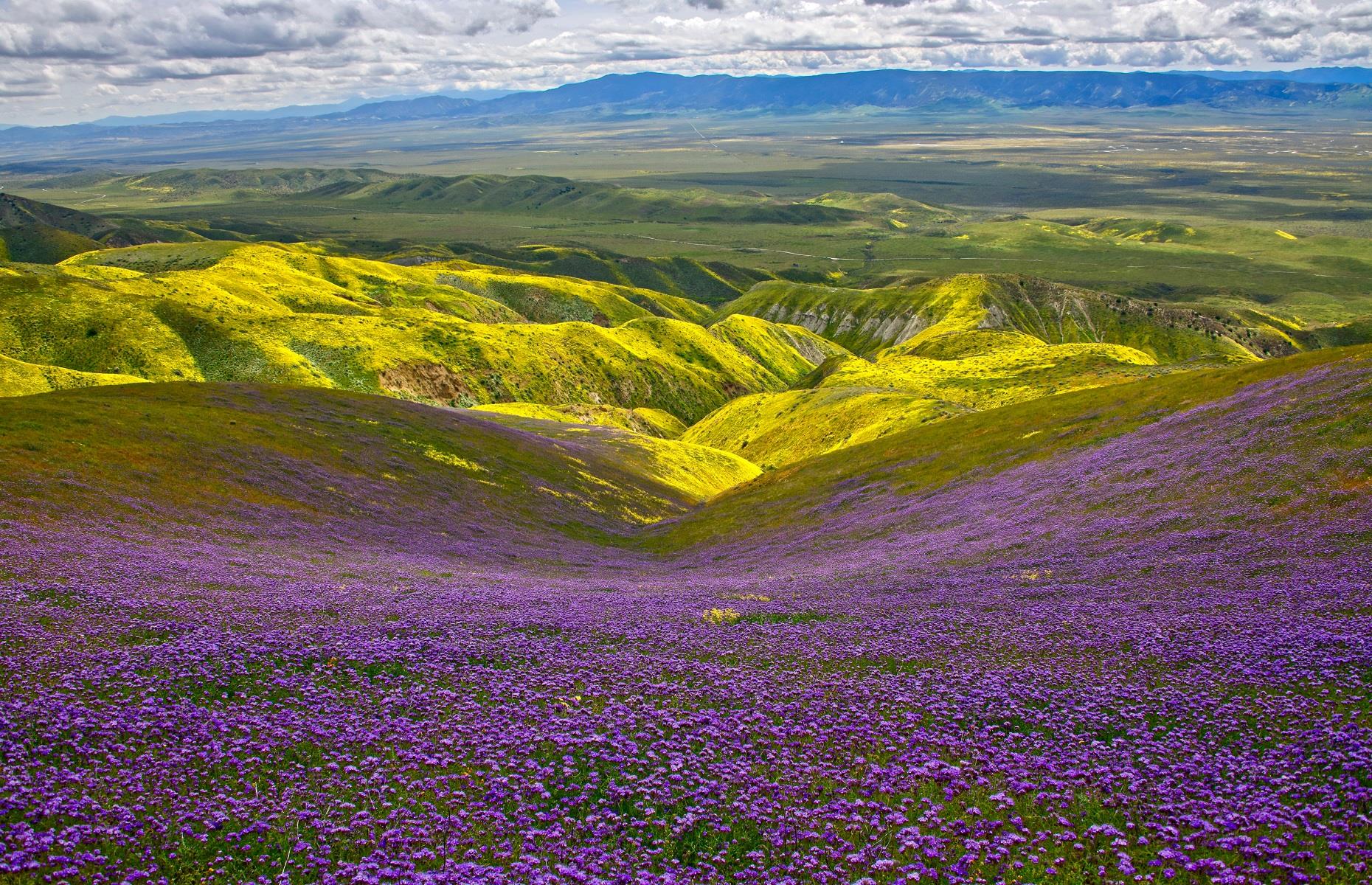 Slide 33 of 59: You might not normally consider plains to be natural wonders but this one in California might change your mind. Carrizo Plain National Monument, in San Luis Obispo County, is the largest single native grassland remaining in the state of California. Covering more than 200,000 acres, the landscape is considered one of the best kept secrets in America and boasts alkali flats, vast open fields and wildflowers every spring.