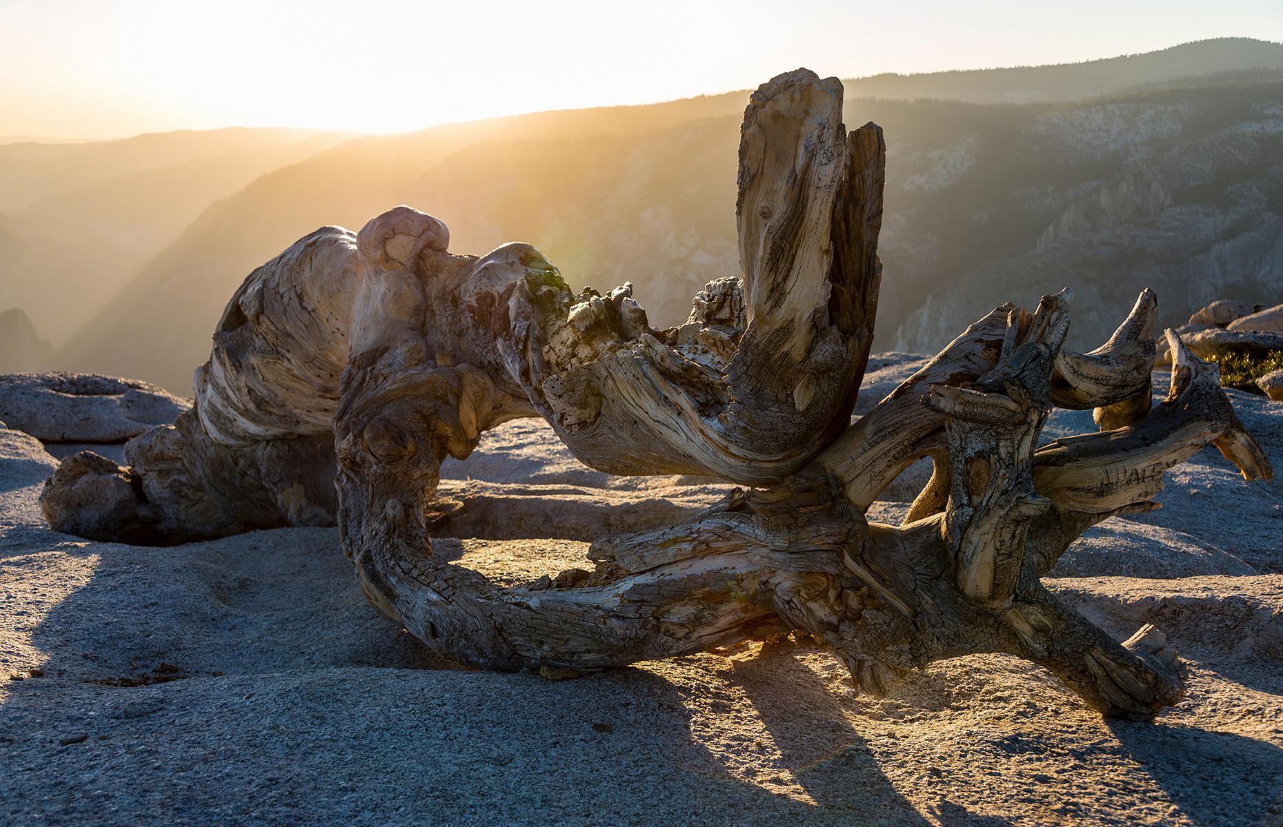 Slide 11 of 31: The tree finally succumbed to the powers of Mother Nature when ravaging storms felled it in 2003. But travelers still hike to Sentinel Dome to see the fallen tree – the gnarled trunk looks dramatic even on the ground. Take a look at more photos which show the beautiful and terrifying power of Mother Nature here.