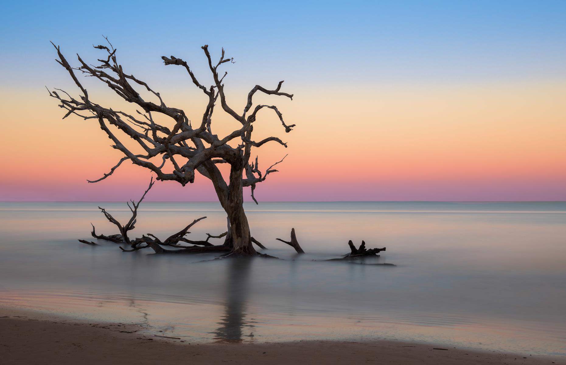 <p>Take the Southern charm of Savannah, strip away the crowds and transport it to the seashore, and the result will be something close to Jekyll Island, one of Georgia’s Golden Isles. <a href="https://www.jekyllisland.com/lodging/jekyll-island-campground/">The campground</a> has RV-friendly spots between elegant oaks, whose branches trail velvety strands of Spanish moss. It links up to woodland trails and is just a short stroll from soft honey beaches strewn with driftwood.</p>