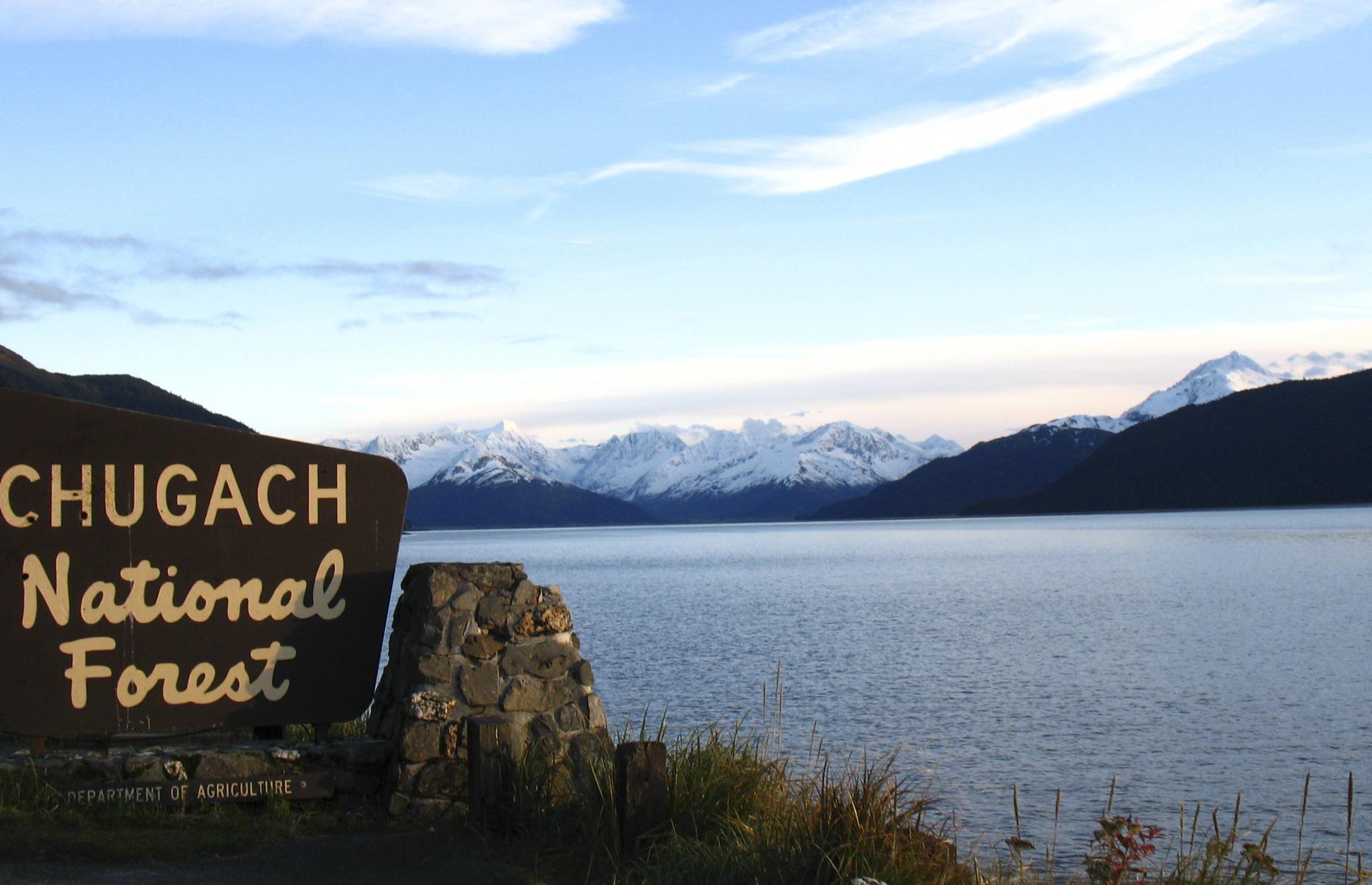 <p>Beluga whales are sometimes spotted near the coast from <a href="https://www.fs.usda.gov/recarea/chugach/recarea/?recid=6643">this wooded campground</a>, which is set atop an ocean bluff in Alaska’s Chugach National Forest. There’s direct access to two trails that wind past streams and curvy-horned Dall sheep to the summit. One of the best things to do, though, is find a place to perch and just gaze at the ocean.</p>